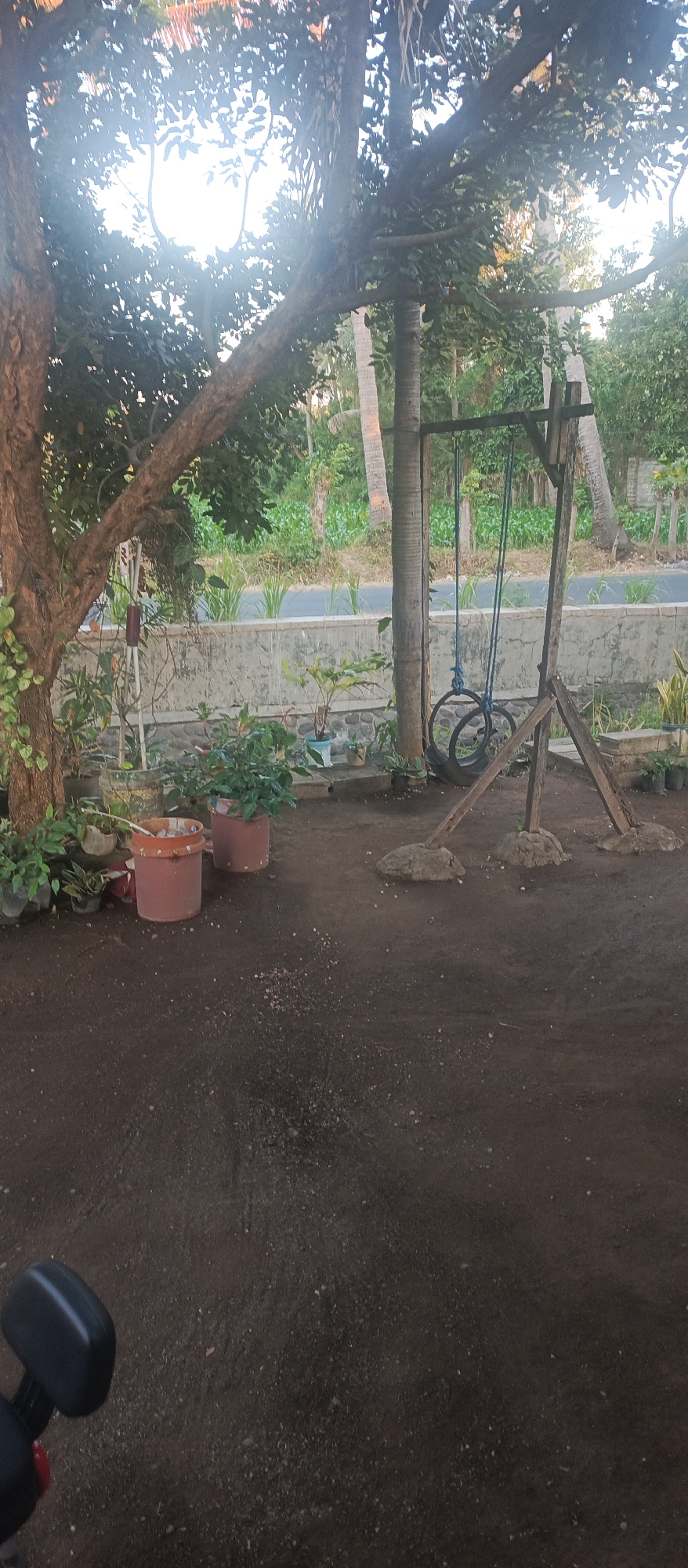 In Jatisari, Indonesia, a rustic tire swing set stands beneath the shade of a mature tree. The swing set, constructed from rough-hewn wooden posts and beams, features two tires suspended by ropes. In the foreground, a dark, dirt-covered ground is visible, with scattered pebbles. To the left, a large tree trunk is partially obscured by its branches and leaves. Several potted plants, including two prominent reddish-brown planters, are arranged near the tree. Beyond the planters, a low, rough stone and concrete wall separates the yard from a road and lush green vegetation. The scene is illuminated by natural light, suggesting it was captured during daylight hours. A portion of a motorcycle's black handlebar and part of a red tail light are visible in the lower left corner of the frame.