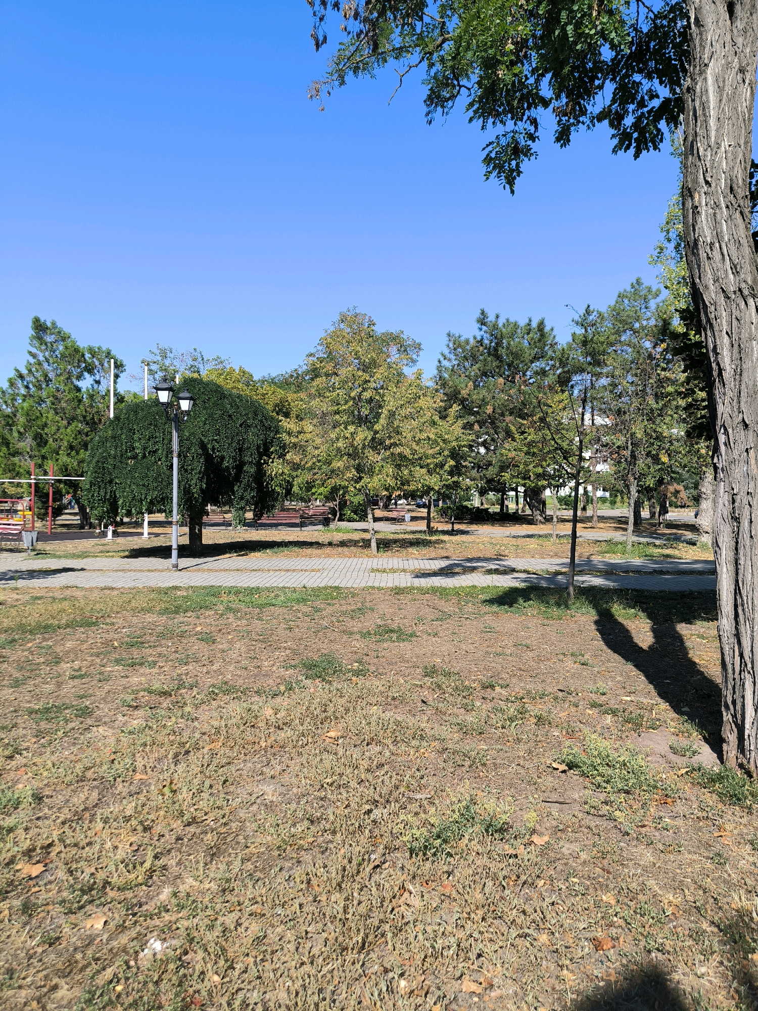The image depicts a park scene under a clear blue sky. In the foreground, a large, rough-barked tree trunk is visible on the right side, casting a distinct shadow on the dry, patchy grass. A paved pathway, composed of rectangular stones, meanders through the park.
In the middle ground, several trees with varying foliage are present, some with green leaves and others with autumnal yellow hues. A street lamp with two lights stands near a large, dense green tree. Benches are visible in the background, suggesting a public seating area. To the left, there appears to be a playground with colorful structures.
The environment is a park setting with a mix of dry grass and some greenery. The presence of benches and a playground indicates a recreational space. The overall impression is one of a tranquil park on a sunny day. The image does not contain any people. No specific identifiable landmarks or structures within the city of Mykolaiv, Ukraine are visible in this particular frame.