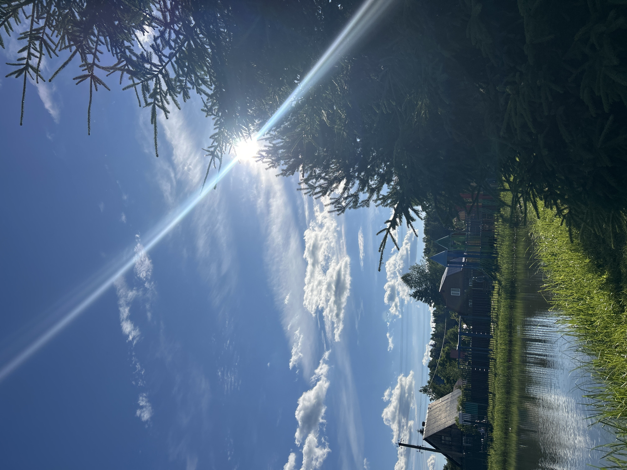 The image depicts a serene landscape in the city of Слава Снт, Russia. A body of water, likely a pond or small lake, occupies the lower left portion of the frame, reflecting the bright blue sky and scattered white clouds. Tall green grass grows along the water's edge. In the mid-ground, a dark metal fence encloses a yard with two wooden houses and a playground structure with colorful elements. Behind the fence, a dense line of trees forms the background. The upper right quadrant of the image is dominated by a large, dark green conifer tree, its branches partially obscuring the bright sun which casts a strong lens flare across the sky. The sun is positioned behind the conifer, creating a high-contrast scene. The overall atmosphere is one of a quiet, rural summer day.