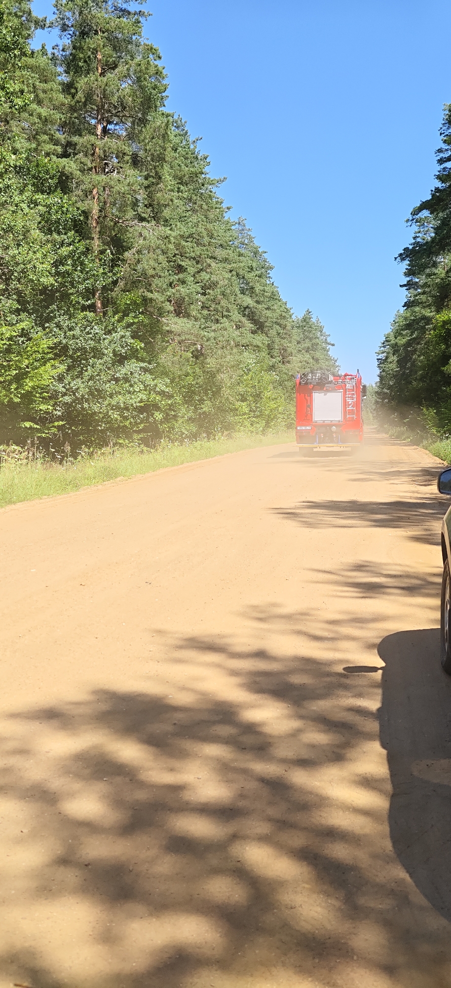 A red fire truck is driving down a dirt road, kicking up a cloud of dust. The road is lined with tall pine trees and green foliage on both sides. The sky is clear and blue. The scene appears to be in a rural area, possibly a forest, in Урэцкі сельскі Савет, Belarus. The perspective is from another vehicle, as the side and tire of a car are visible in the foreground on the right side of the image. The sun is casting dappled shadows of tree leaves across the road.