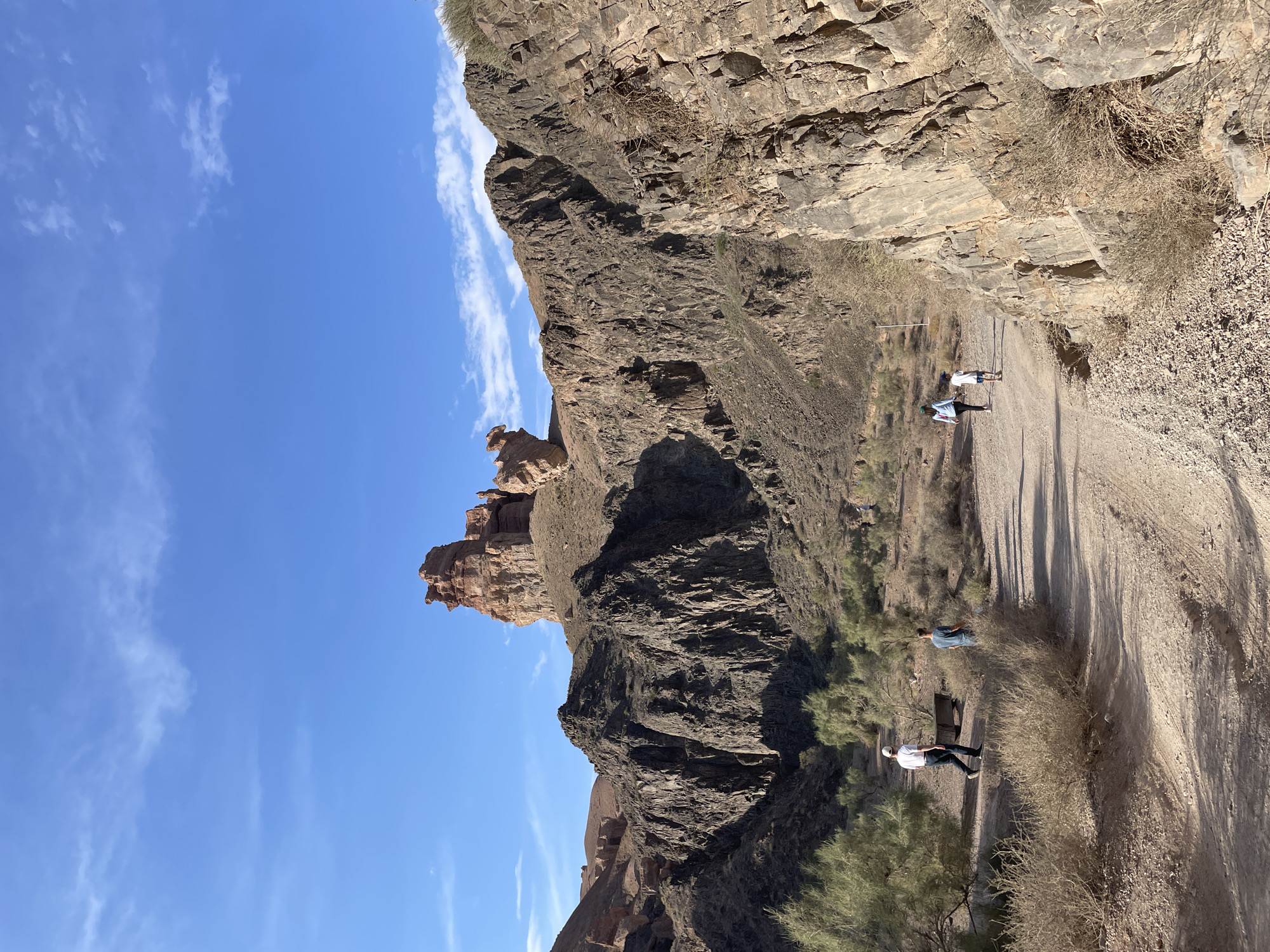 The image depicts a scenic desert canyon with towering rock formations under a clear blue sky with scattered white clouds. A dirt path winds through the canyon, with sparse vegetation consisting of dry bushes and small trees. Several individuals are visible on the path, walking in small groups. In the foreground, two people are walking away from the camera, one wearing a white t-shirt and dark pants, and the other in a blue t-shirt. Further down the path, a family group, including two adults and a child, are walking towards the camera. The rock formations are rugged and appear to be made of sedimentary rock, showing layers and erosion. The overall environment suggests a natural, arid landscape, characteristic of regions like the Charyn Canyon in Tamerlik, Kazakhstan.