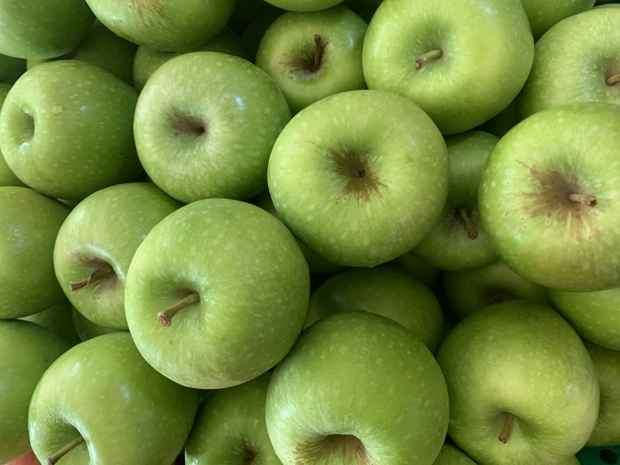 A close-up, overhead shot showcases a plentiful pile of Granny Smith apples. The apples are a vibrant green, with some exhibiting small white speckles and a few showing water droplets on their skins. The stems are short and brown, protruding from the indentations at the top of each apple. The apples are tightly packed, suggesting they are in a bin or display, and are filling the entire frame of the image. There are no people, buildings, or any discernible elements of an urban environment present in the image. The image is entirely focused on the texture and color of the apples.