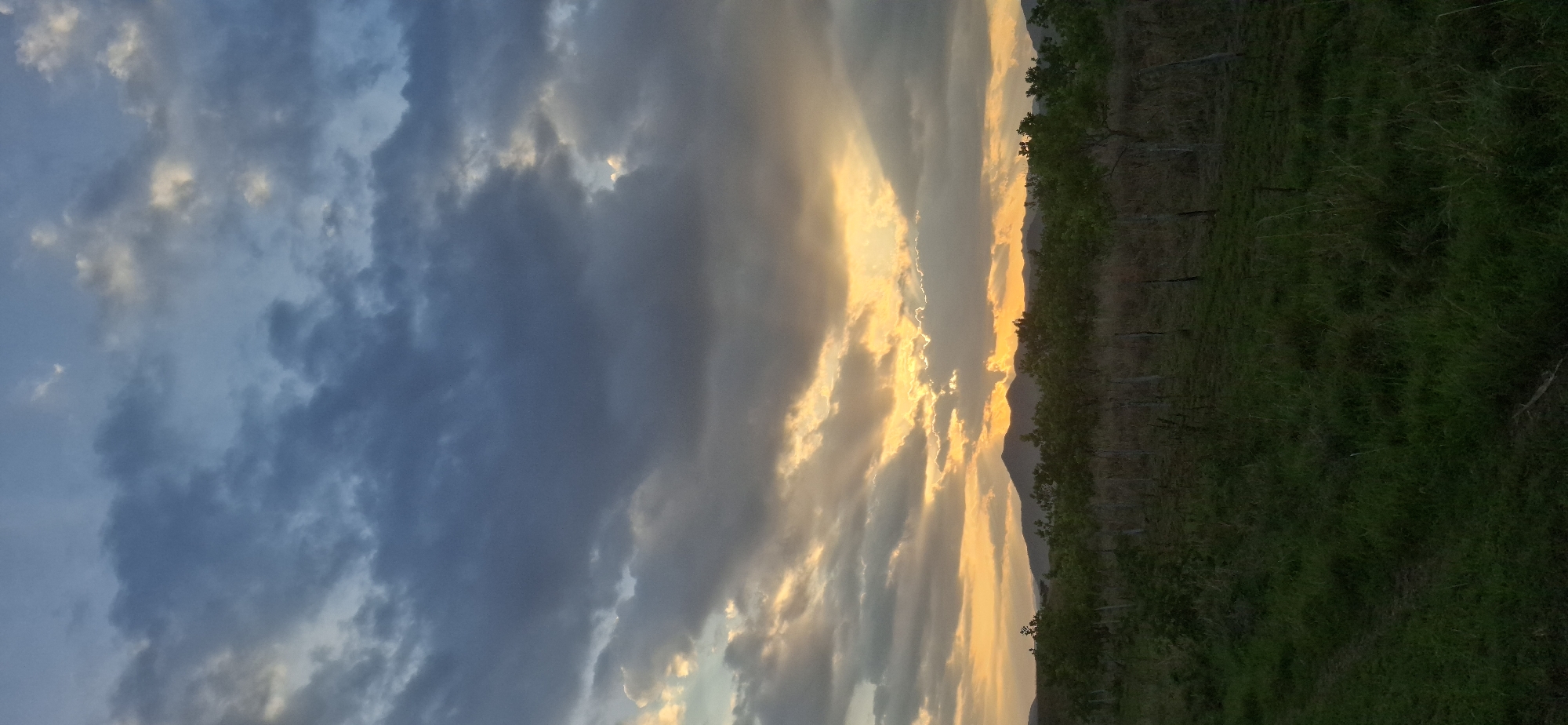 The image depicts a sunset scene, likely in a rural or agricultural area near Vallecito, Venezuela. The sky is dominated by a dramatic array of clouds illuminated by the setting sun, ranging from dark blues and grays to bright yellows and oranges. A row of trees or vegetation borders the right side of the frame, possibly indicating the edge of a field or vineyard. The ground below is covered in grass or low-lying plants. A slight hill or mountain appears to be visible in the center of the image at the horizon line. The overall impression is one of natural beauty.