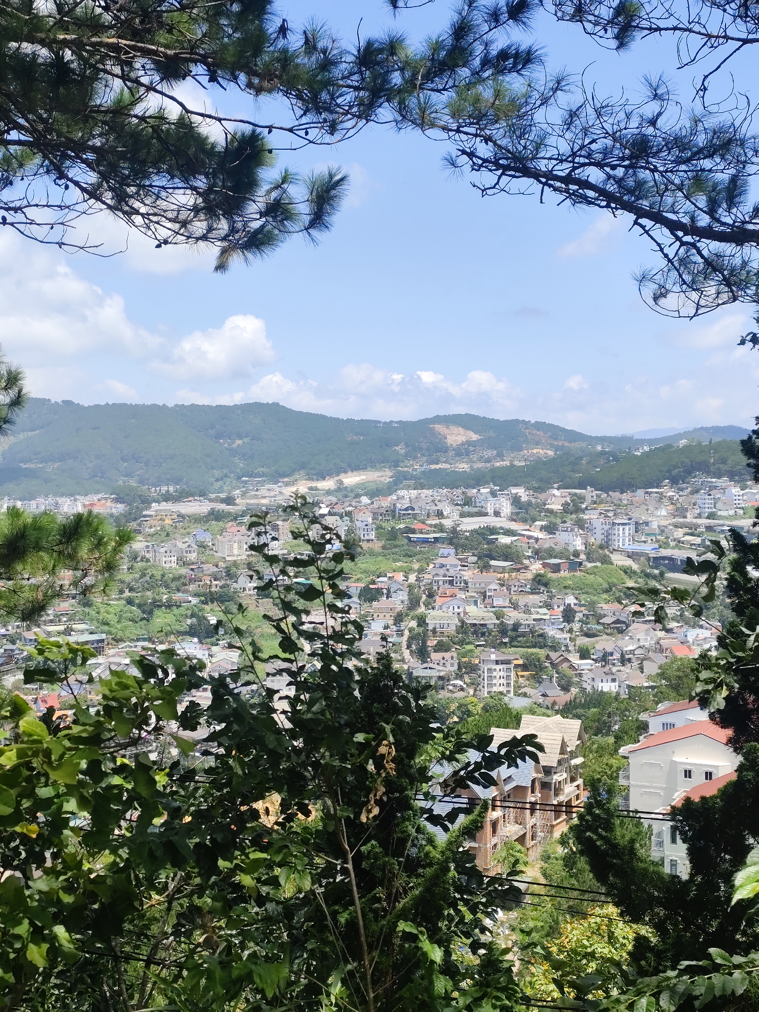 This is a vertical, medium-range shot captured from a vantage point overlooking the city of Da Lat, Vietnam. The foreground is dominated by the dense foliage of pine trees and other leafy vegetation, creating a natural frame for the scene. In the mid-ground, a sprawling urban landscape unfolds, characterized by a dense collection of residential buildings and various architectural styles, many with distinctive red-tiled roofs. The buildings are nestled on rolling hills, with some appearing to be under construction, evident by exposed brickwork and scaffolding. A wider panorama of lush green hills stretches into the background, meeting a hazy blue sky dotted with fluffy white clouds. The overall impression is that of a verdant, hilly city with a mix of established and developing infrastructure, seen through a natural lens.