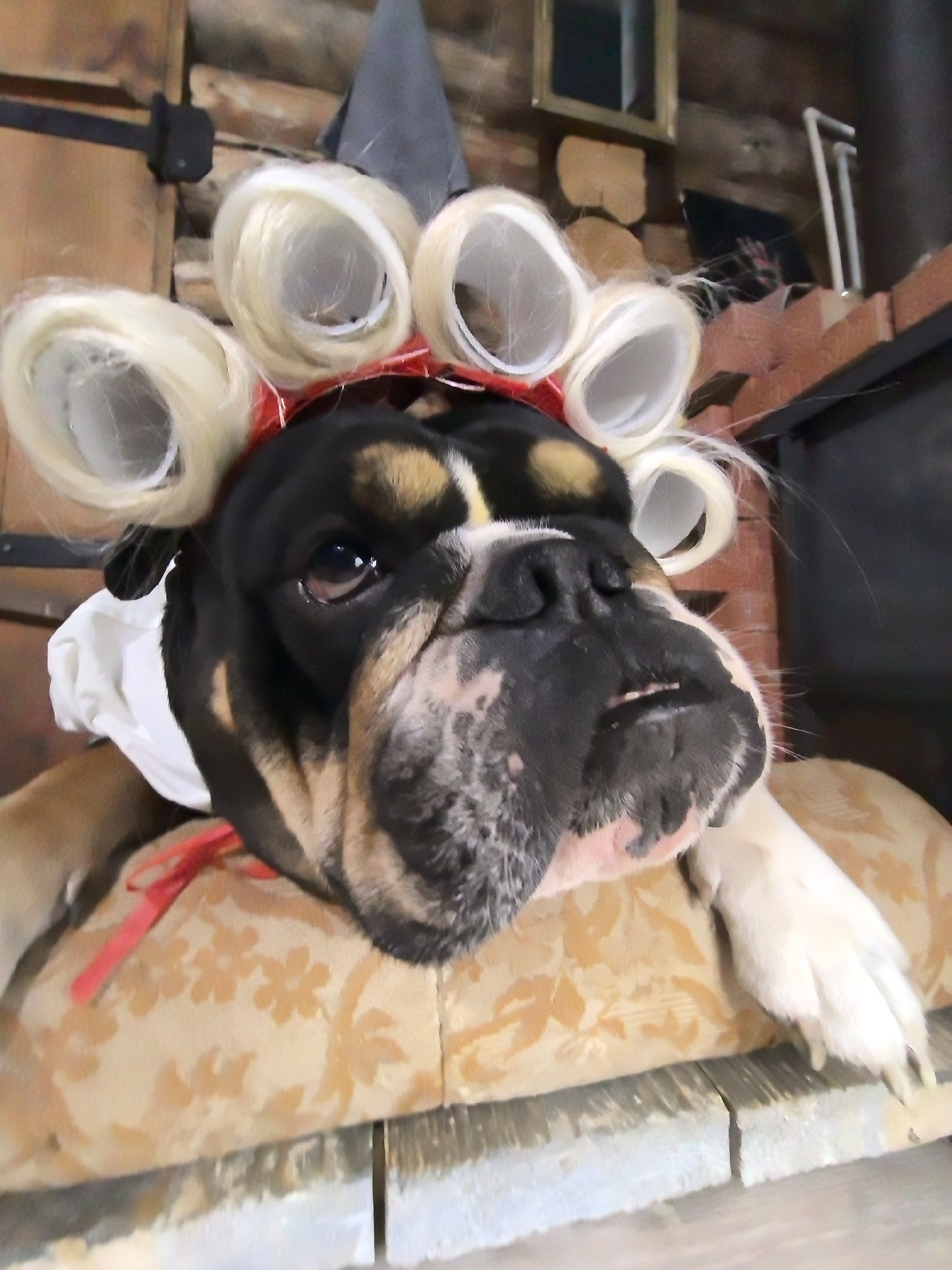 A close-up shot shows a bulldog adorned in a humorous costume, resting on a floral patterned pillow. The dog has a grey witch hat and six blonde curlers on its head, secured with a red headband. The dog is wearing a white collar with a red tie. The background features a wooden wall, a small picture frame, and a brick structure. The scene is staged indoors, resting on what appears to be white distressed wood. There is no indication of this image being taken in Noviy, Russia.
