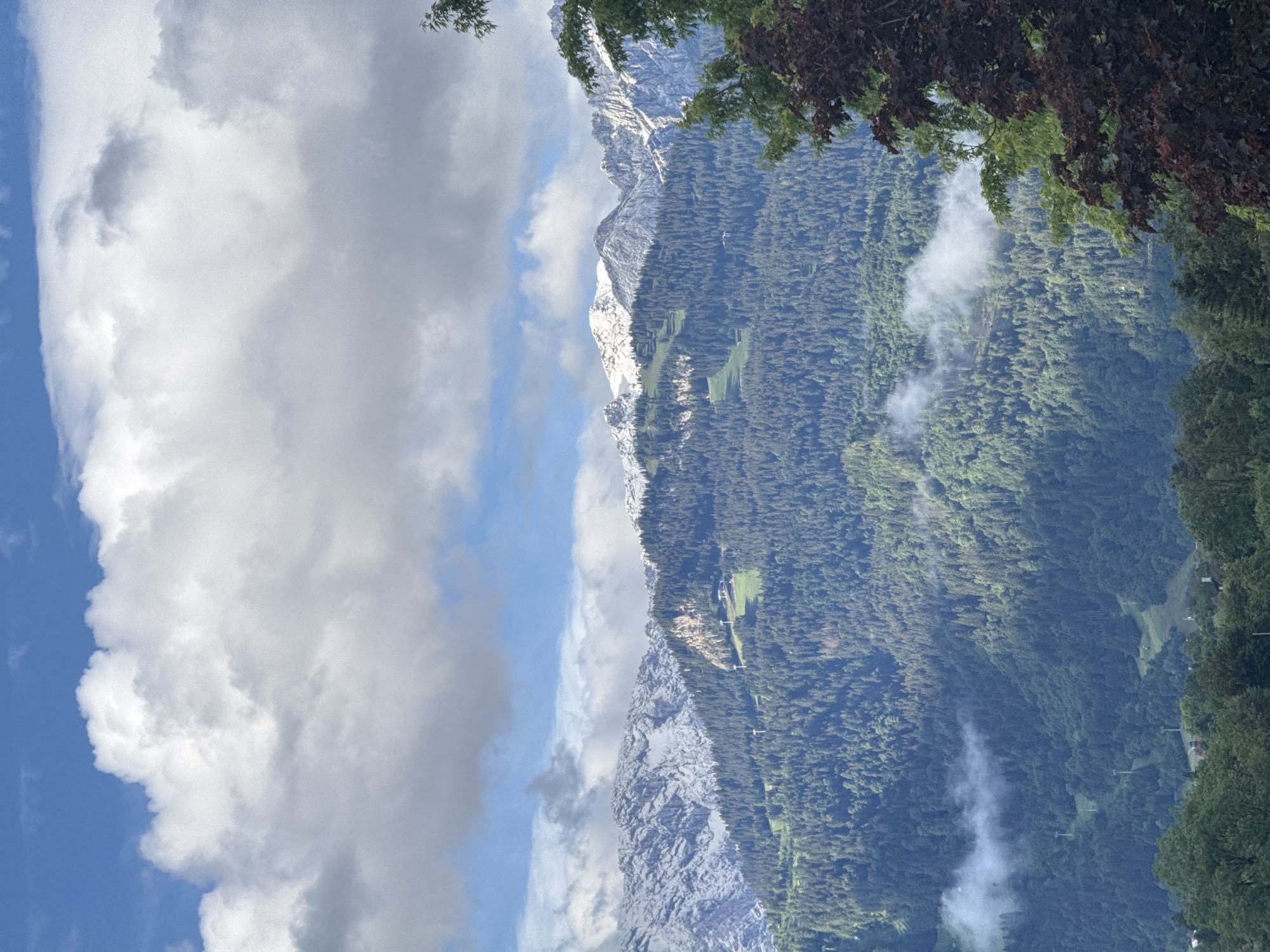 The image depicts a mountainous landscape under a cloudy blue sky. In the foreground, lush green trees dominate, with a darker, reddish-brown tree on the right. The middle ground features a densely forested mountainside, with patches of green slopes indicating ski runs or alpine meadows. Ski lifts are visible on these slopes. The background is characterized by snow-capped mountain peaks. Wisps of white fog or low-lying clouds are present in the valleys. The scene appears to be a panoramic view of the Alps, likely in the vicinity of Garmisch-Partenkirchen, Germany, given the presence of ski infrastructure and snow-covered mountains. There are no people or animals visible in the image.