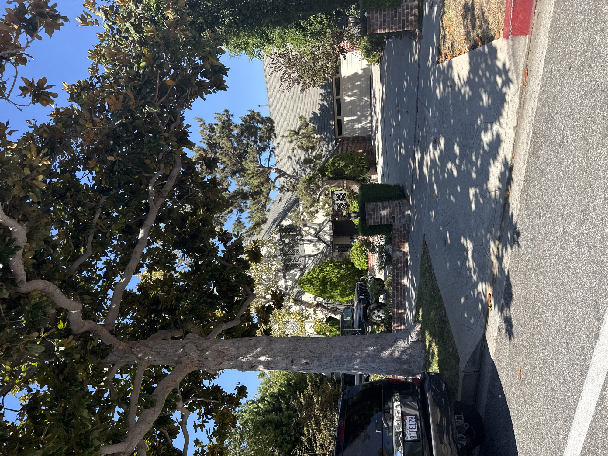 A daytime, eye-level, exterior shot captures a suburban residential street in Beverly Hills, United States of America. The foreground shows the asphalt of a street, with a red-painted curb and a concrete sidewalk. A black SUV, possibly a Jeep, is parked on the right side of the street, its license plate reading "8TPE128". Beyond the sidewalk, a paved driveway leads to a multi-story house. The house features a grey shingled roof, a cream-colored facade with dark trim, and what appears to be a two-car garage with a beige door. A large tree with a thick trunk and branches laden with dark green leaves dominates the left side of the frame, casting dappled shadows on the driveway and house. Several other trees and manicured bushes are visible on the property, contributing to the well-maintained landscape. The sky is clear and blue.
