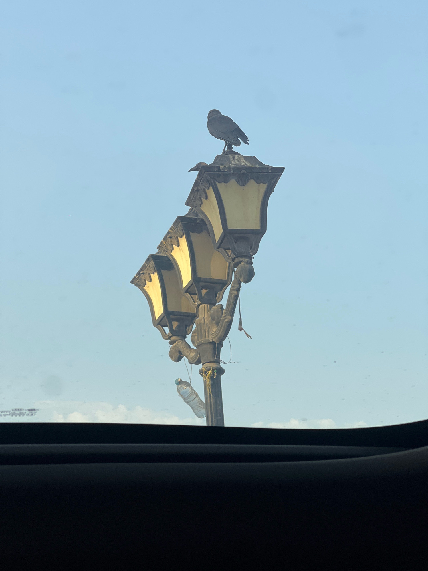 A bird is perched on top of a multi-headed lamppost, possibly in a public area in Sharm El Sheikh, Egypt. The lamppost has several ornate, yellow-shaded lamps. A plastic water bottle is hanging from the side of the lamppost by string, as well as some other yellow string or material. The sky behind the lamppost is a light blue with a few wispy clouds. The foreground of the image is dark, suggesting the photo was taken from inside a vehicle, possibly looking through a sunroof or windshield. The overall scene is clear and well-lit, with the focus on the lamppost and the bird.
