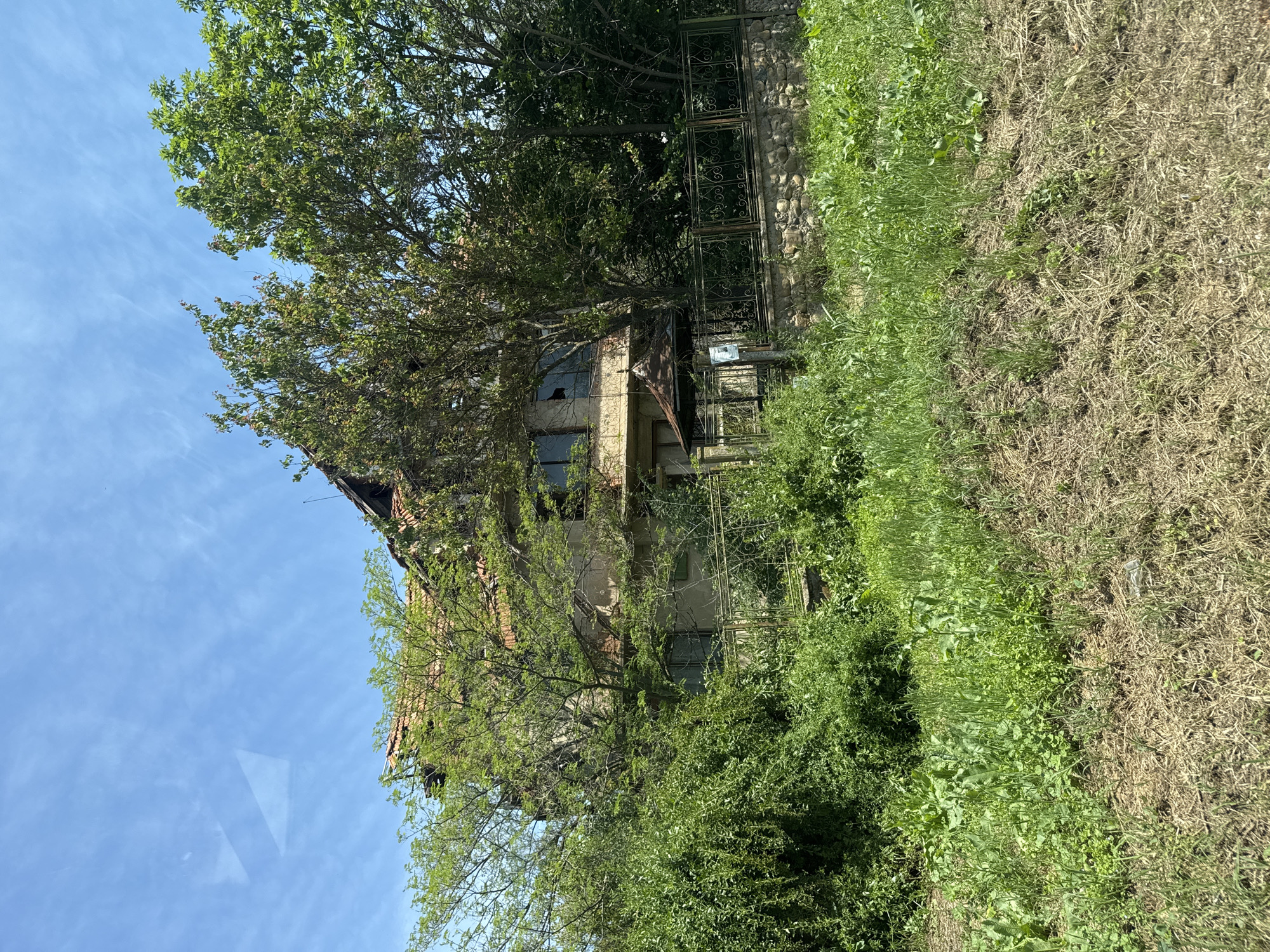 An exterior, medium shot shows an abandoned building in a wooded setting in Sofronievo, Bulgaria. The building is two stories, with a steeply pitched red-tiled roof. The facade is a pale, rough concrete or stucco. Several windows are broken or missing. The building is partially obscured by overgrown trees and bushes. A decorative metal fence partially surrounds the property. The ground slopes away from the building and is covered in a mix of green grass, weeds, and dried brown grasses. The sky is blue with wispy white clouds in the upper left corner. The photo shows a location in Sofronievo, Bulgaria.