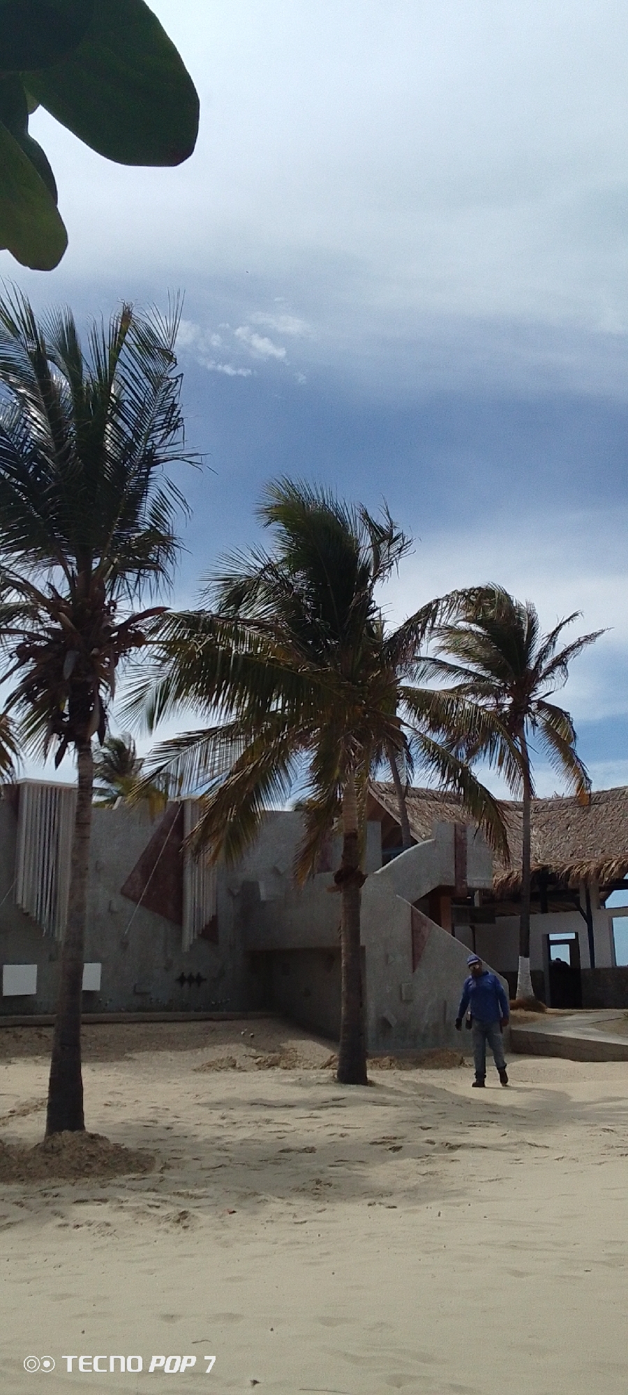The image depicts a beach scene in Pedro González, Venezuela, featuring three palm trees in the foreground and a man walking on the sand. Behind the trees is a concrete building with an open entrance and a thatched roof structure adjacent to it. The sky is light blue with scattered clouds. The sand appears light-colored and slightly damp. The man is wearing a blue long-sleeved shirt and jeans. The photograph was taken with a TECNO POP 7 mobile phone, as indicated by the watermark.