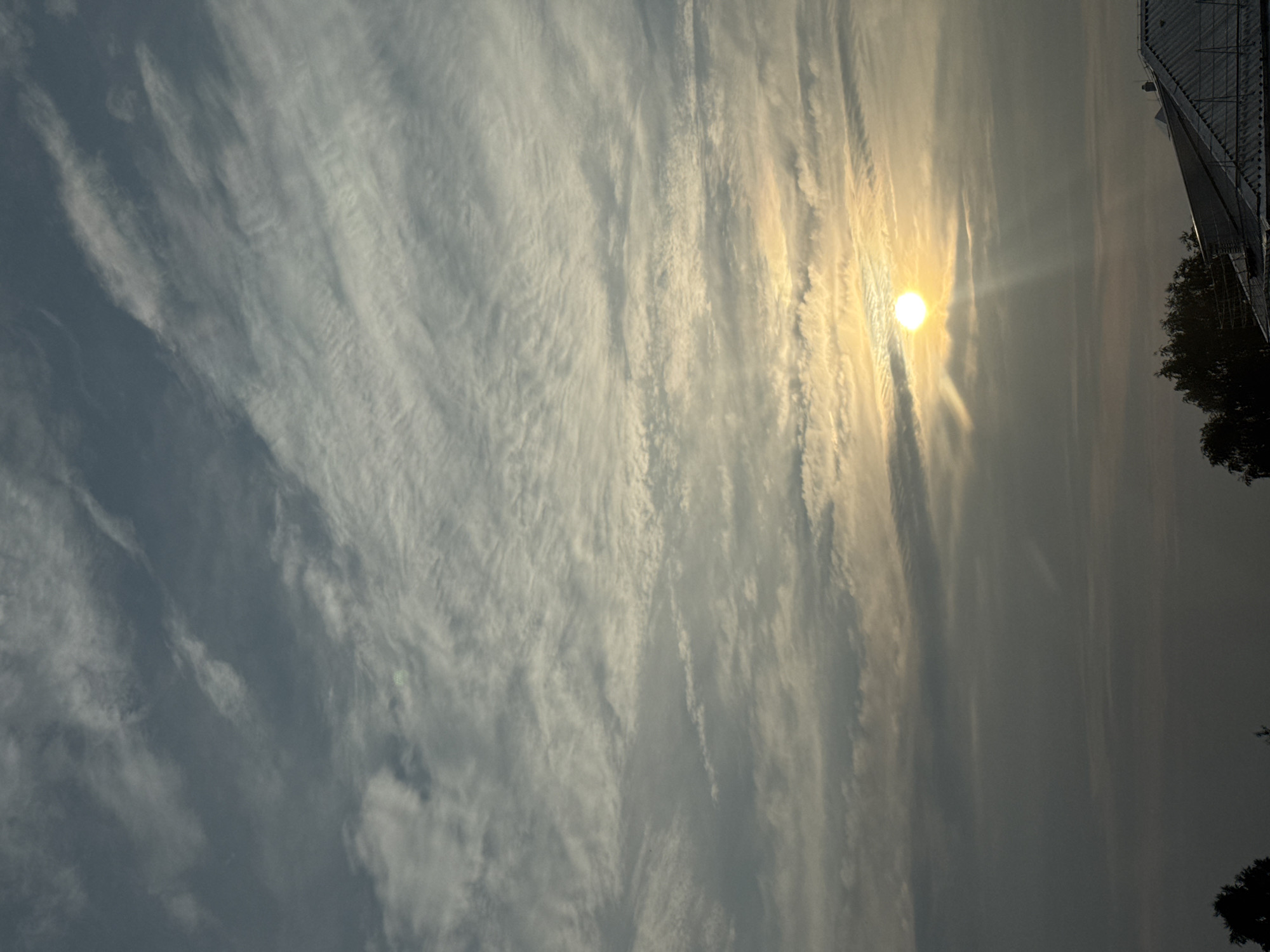 This vertical, outdoor, natural light photograph captures a wide view of the sky above a residential area. The sky is filled with a dense arrangement of clouds, varying in texture from wispy cirrus to more opaque stratus formations. Streaks of sunlight pierce through the clouds, creating a dramatic effect, with the sun appearing as a bright, yellow orb slightly to the right of the center of the frame. In the lower portion of the image, the silhouette of a roofline and tree branches are visible against the fading light, suggesting it is either sunrise or sunset. The image appears to be taken from a higher vantage point, looking upwards. The overall scene is calm and serene, with no people or active events depicted. The location is identified as Timiryazevskoe, Russia.