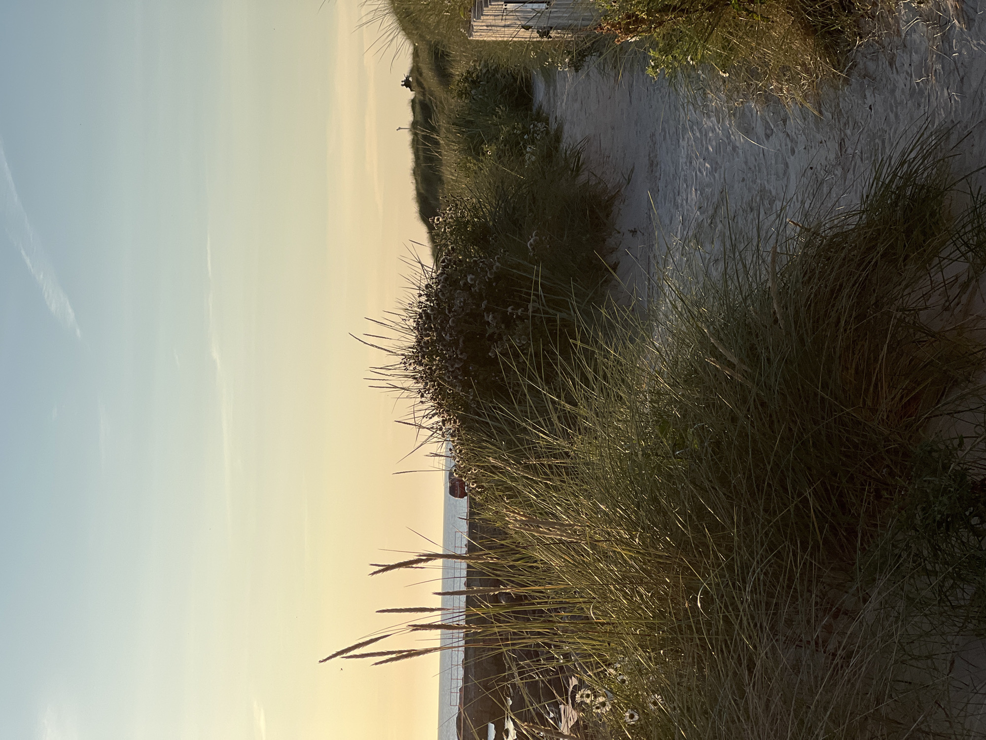 A sandy path winds through tall dune grass towards the sea, under a pale yellow and blue sky. On the left, the sea is visible behind a rocky outcrop and a red vehicle. On the right, a wooden fence post marks the edge of the path. In the distance, two figures are silhouetted on a grassy dune, overlooking the sea. The scene appears tranquil, with the soft light of late afternoon or early morning. The location is specified as Lunniaghbeg, Ireland.