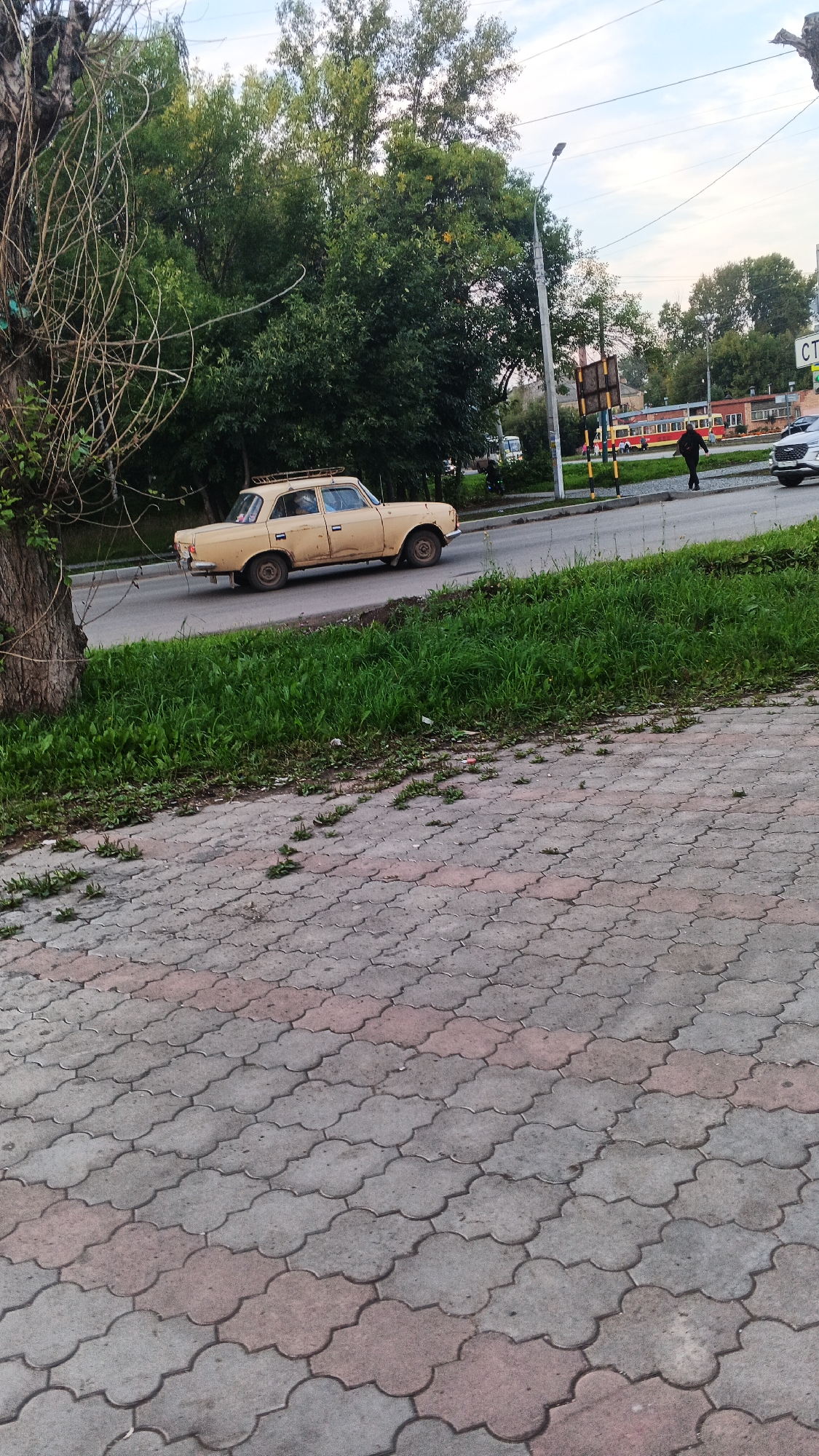 Memory
