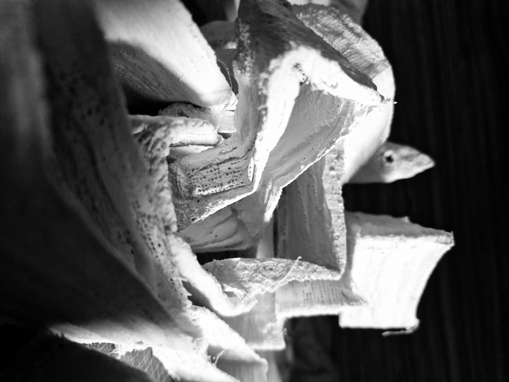 The image is a close-up, black and white photograph featuring a composition of layered, textured material. The material appears to be fibrous and possibly organic, with varying degrees of light and shadow highlighting its rough surface and folds. The edges are ragged and porous, and there appears to be a pattern of small holes or indentations in some areas of the material. One edge has a more defined, right-angled shape. The background is dark and indistinct. There is no evidence of the location being Sofia, Bulgaria or any people or actions. The image focuses solely on the texture and form of the object.