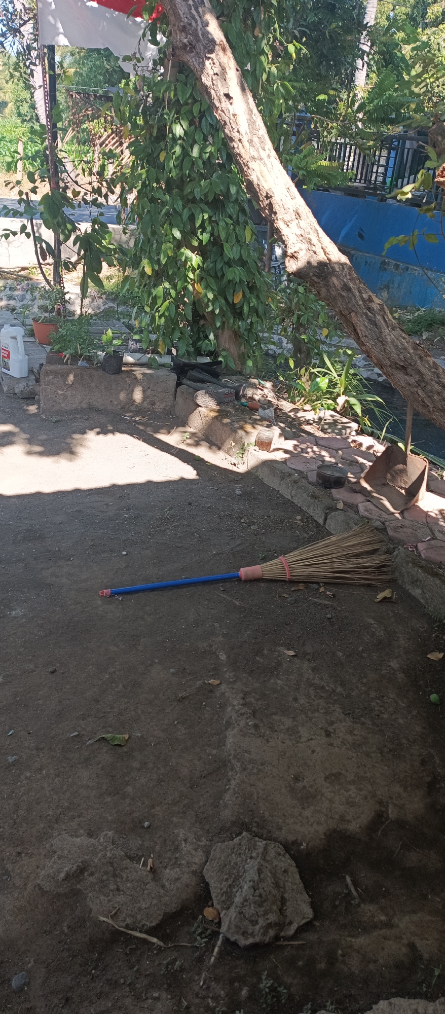 The image depicts an outdoor scene with a broom lying on the ground. The broom has a blue handle and a straw head. It is positioned on a dusty, uneven surface, possibly a yard or pathway, with scattered leaves and small stones. In the background, there are various plants, including trees with green foliage, and what appears to be a red and white flag. To the right of the broom, a section of a brick border is visible, leading to a dark blue structure in the far background. Sunlight casts shadows on the ground, indicating it is daytime. The location is identified as Arjasa, Indonesia, suggesting a tropical or subtropical climate. The overall environment appears to be a semi-rural or residential area, with elements of natural vegetation and man-made structures.