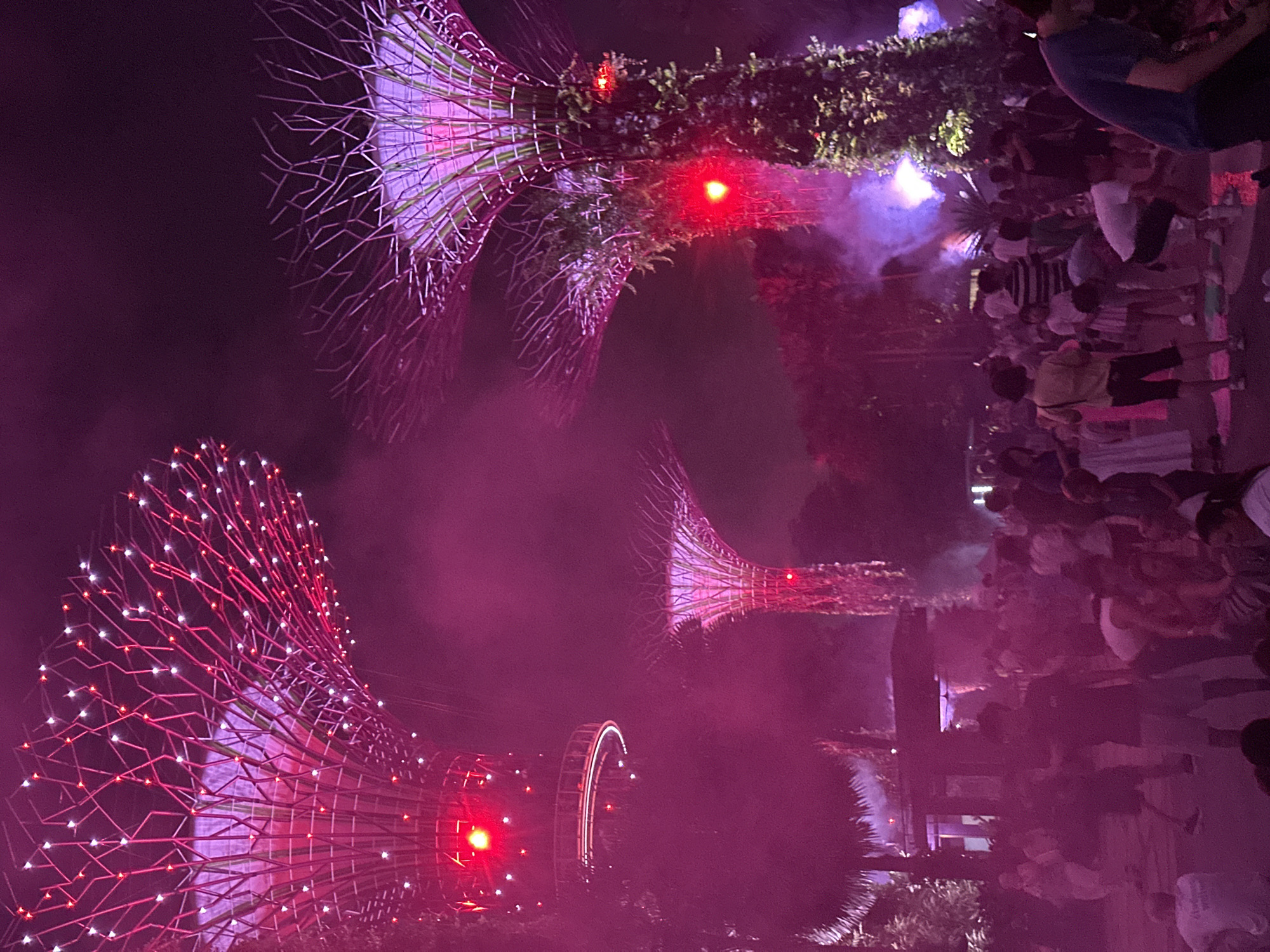 The image depicts a nighttime scene at the Supertree Grove in Gardens by the Bay, Singapore. Several illuminated "Supertrees" are visible, with their intricate metal structures adorned with pink and white lights. Fog or mist drifts around the trees, adding to the atmospheric effect. In the foreground and midground, a crowd of people are gathered, some standing and observing, while others are engaged in conversation or movement. The lighting is predominantly pink and purple, casting a vibrant glow over the entire scene. The overall impression is of a lively public gathering or event taking place in a unique, futuristic urban landscape.