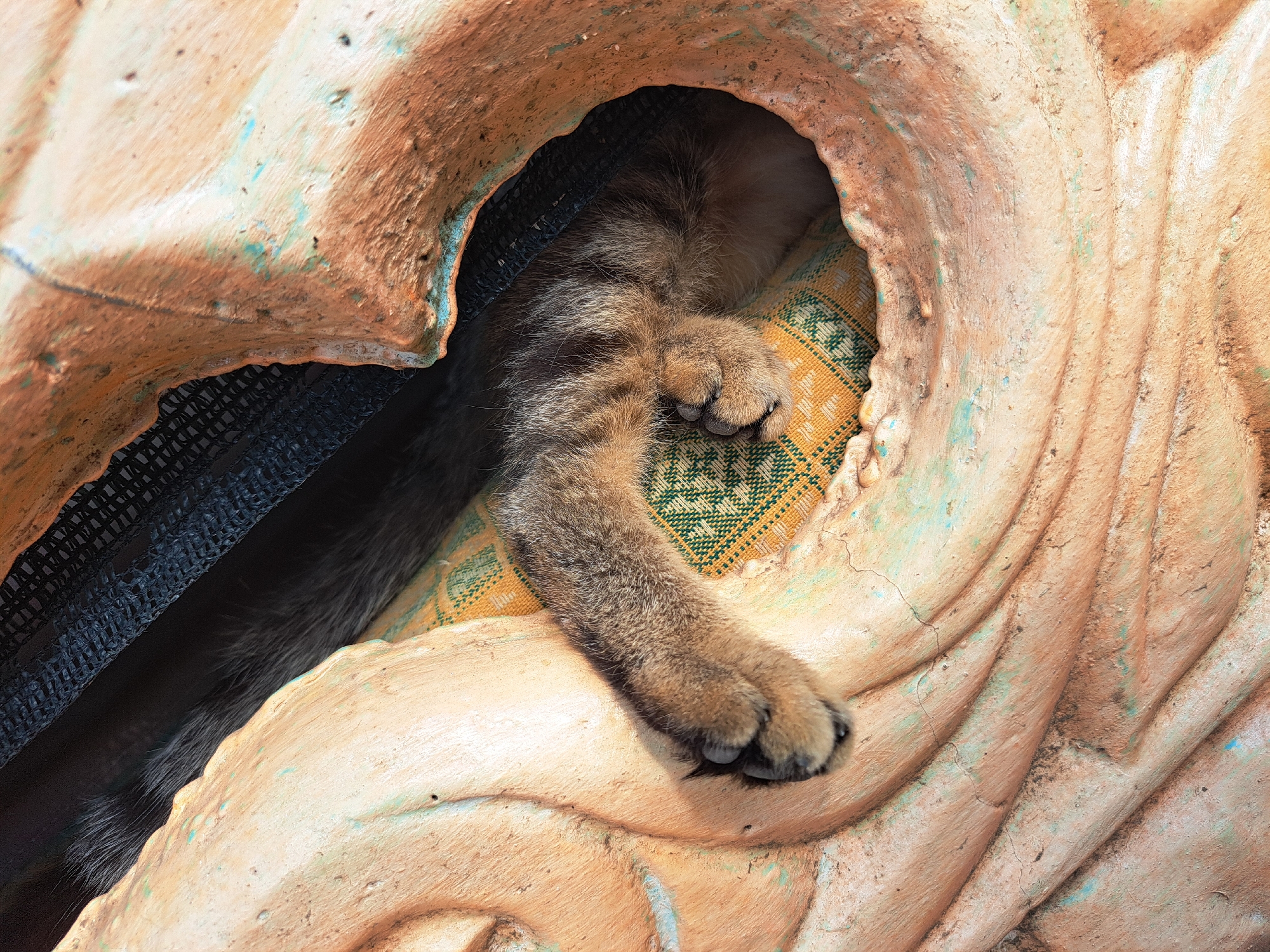 A close-up, high-angle shot captures a cat's paw and tail peeking out from a hollow in a textured, weathered, light-brown and green object. The cat's fur is a mix of brown and black stripes. The paw rests on a yellow and green patterned fabric, possibly a cushion. The object itself appears to be made of concrete or stone, with visible cracks and wear. The background is dark and indistinct, suggesting a shaded area. The image was taken in the city of Vypasne, Ukraine.