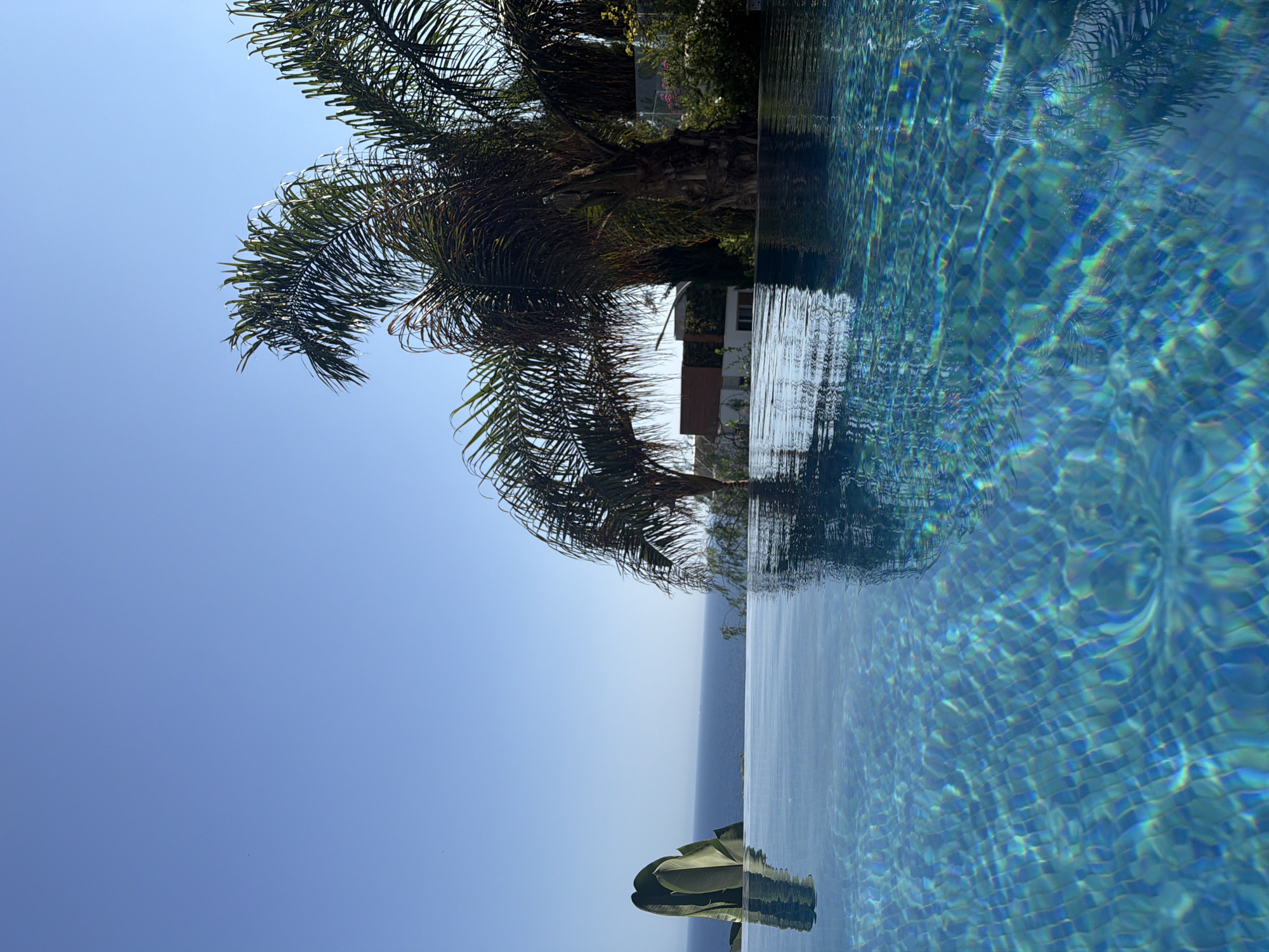 The image depicts a tranquil outdoor scene in Agios Tychonas Community, Cyprus, featuring an infinity pool with crystal-clear blue water, reflecting the sky and surrounding palm trees. The foreground is dominated by the shimmering surface of the pool, its turquoise tiles creating a mosaic pattern. Beyond the pool, a vast expanse of the sea stretches to the horizon under a clear, bright blue sky. To the left, a large, lush green plant with broad leaves stands prominently, adding a touch of tropical greenery. In the mid-ground, several mature palm trees with their characteristic fronds are visible, casting shadows and creating a sense of lushness. Behind the trees, a modern building with clean lines and large windows is partially visible, suggesting a contemporary architectural style. The overall ambiance is one of serene luxury and relaxation, indicative of a high-end resort or private villa in a coastal Mediterranean setting.
