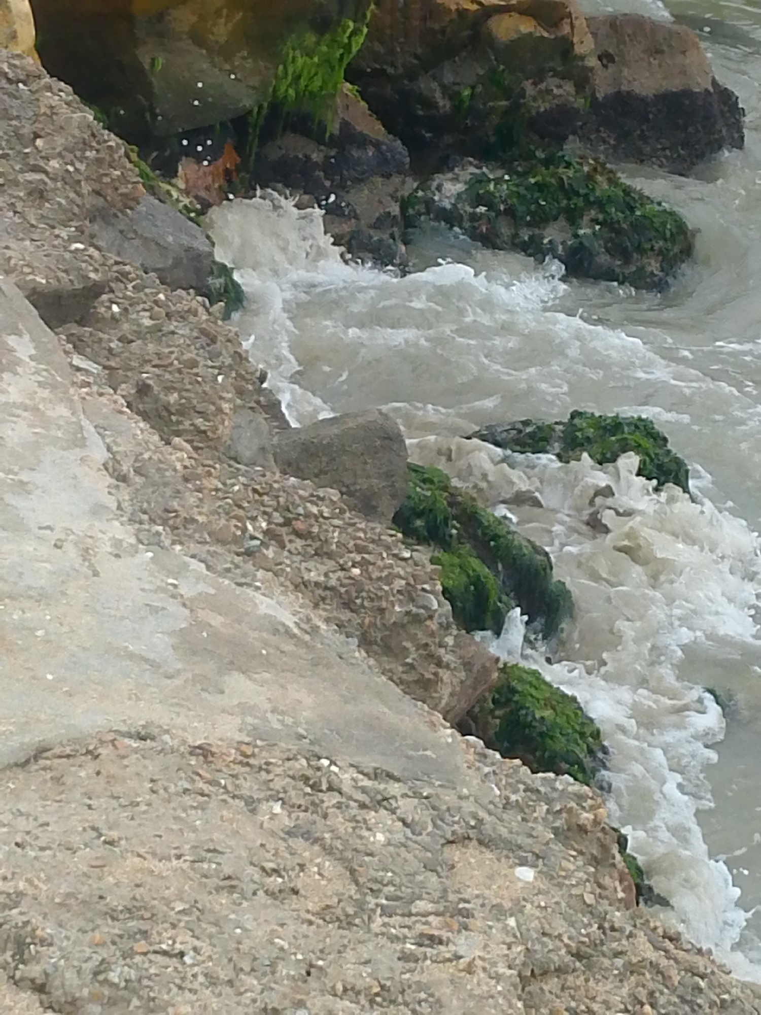 The image depicts a rocky shoreline with waves crashing against the rocks. Green algae or moss covers portions of the rocks. The scene is likely in Juan Griego, Venezuela, based on the prompt. The image does not contain any people or clear subjects beyond the natural elements of rocks, water, and vegetation. The action is the movement of the waves against the shore. The environment appears to be a coastal area with a mixture of rock formations and marine growth.