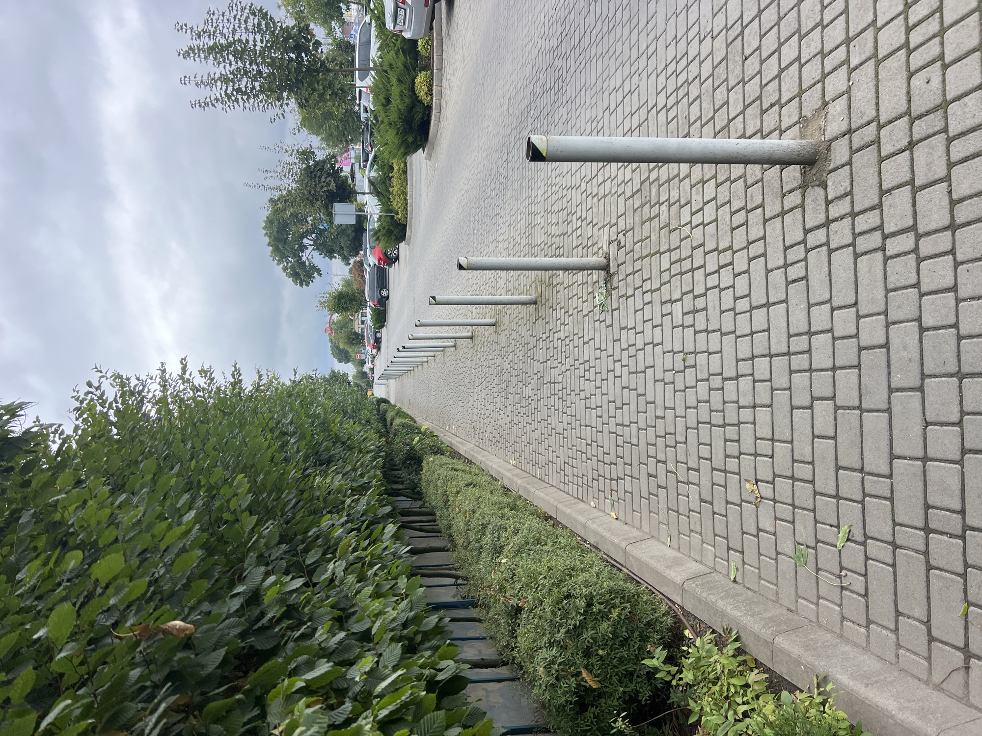 The image depicts a street scene in Fontanka, Ukraine, on an overcast day. A paved sidewalk runs along the left side of the image, bordered by a line of metal bollards. To the left of the sidewalk is a dense green hedge, and behind that, a tall row of trees forms a lush green wall. Beyond the bollards, a paved road is visible, with several cars parked and driving. The road curves into the distance, lined with more trees and bushes. The sky is cloudy, casting a diffused light over the scene. The overall impression is one of a well-maintained urban streetscape.