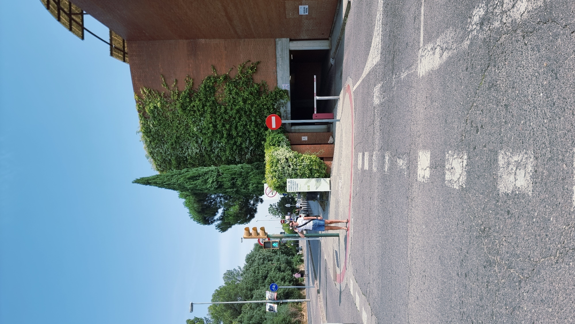 This is a vertical, eye-level, wide shot of a pedestrian standing at a crosswalk on a sunny day. The pedestrian, a person with dark hair wearing a white t-shirt and denim shorts, is looking at their phone and appears to be on the verge of crossing. They are standing on a paved road with white crosswalk markings.
Behind the pedestrian, a brick building with ivy growing on it is visible, with an entrance to what appears to be an underground parking garage. There is a red and white barrier gate at the entrance, and a circular red sign with a white horizontal bar, indicating "no entry." A traffic light is visible on the left side of the frame, showing a green light.
In the background, lush green trees and foliage are abundant, suggesting a well-vegetated area. A sign is posted on a pole to the right of the pedestrian, with text that is too small to read. Another sign with a bicycle symbol is visible further down the road. The overall scene suggests a bright, clear day in a European city, likely Girona, Spain, given the context. The atmosphere is ordinary, with no strong emotional cues conveyed by the subjects.