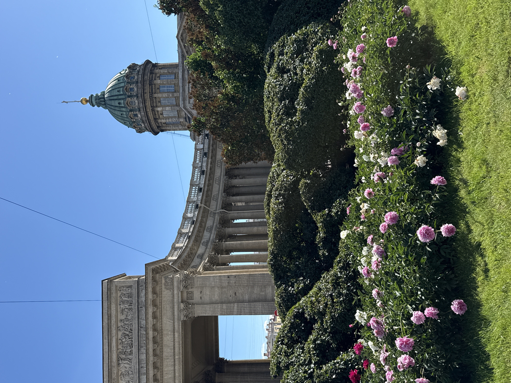 This is a photograph of the Kazan Cathedral in Saint Petersburg, Russia. The cathedral is a prominent landmark and a functioning Russian Orthodox church. In the foreground, a well-tended flower bed blooms with numerous pink and white peonies. Behind the flowers, a large, manicured hedge forms a dense green barrier. Further back, the semicircular colonnade of the Kazan Cathedral stretches across the frame, supported by numerous classical columns. To the right, the cathedral's distinctive green dome with a golden spire rises against a clear blue sky. The image is taken on a bright, sunny day.