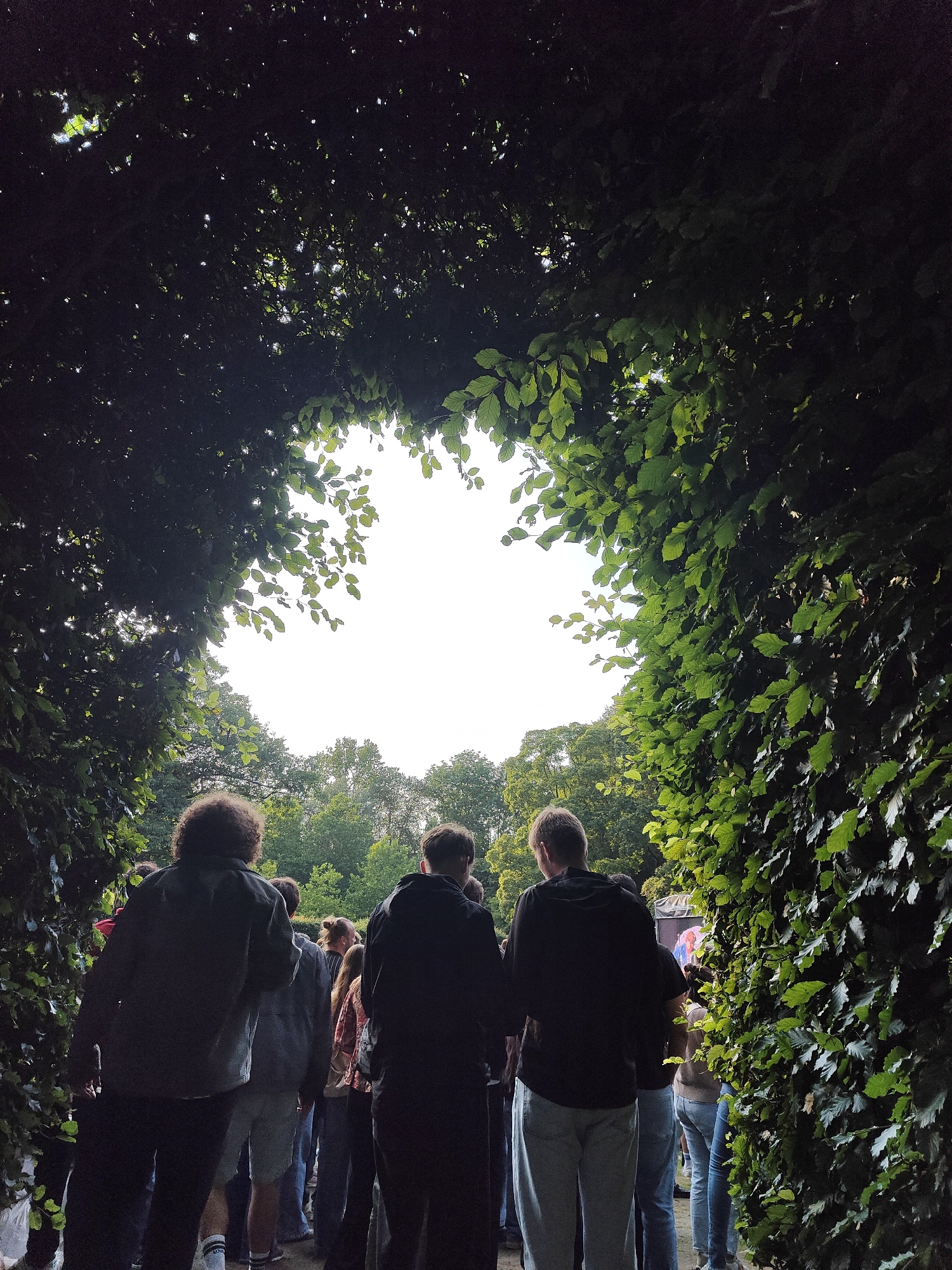The image depicts a group of people standing in a line, viewed from behind, beneath a canopy of dark green leaves. The leaves form an archway, through which a bright, overcast sky is visible, along with trees in the distance. The people are casually dressed, suggesting an outdoor gathering or event. The overall lighting is dim, with light filtering through the leaves. The scene appears to be in a park or garden.