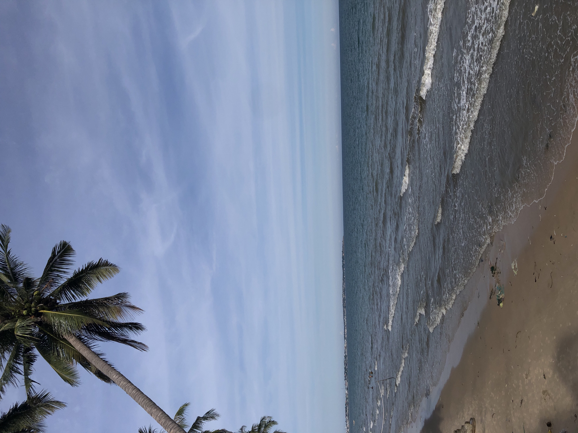 The image depicts a beach in Mũi Né, Vietnam. A tall, leaning palm tree with green fronds and coconuts is prominent in the upper left corner, extending from the frame. Below the tree, the ocean stretches to the horizon, with a distant, low-lying coastline visible. The water is a deep blue, with white-capped waves rolling towards the shore. The beach itself is sandy and appears somewhat unkempt, with scattered debris visible along the waterline and on the sand. A few people are present in the water, appearing to swim or wade. The sky is a pale blue with thin, wispy clouds.