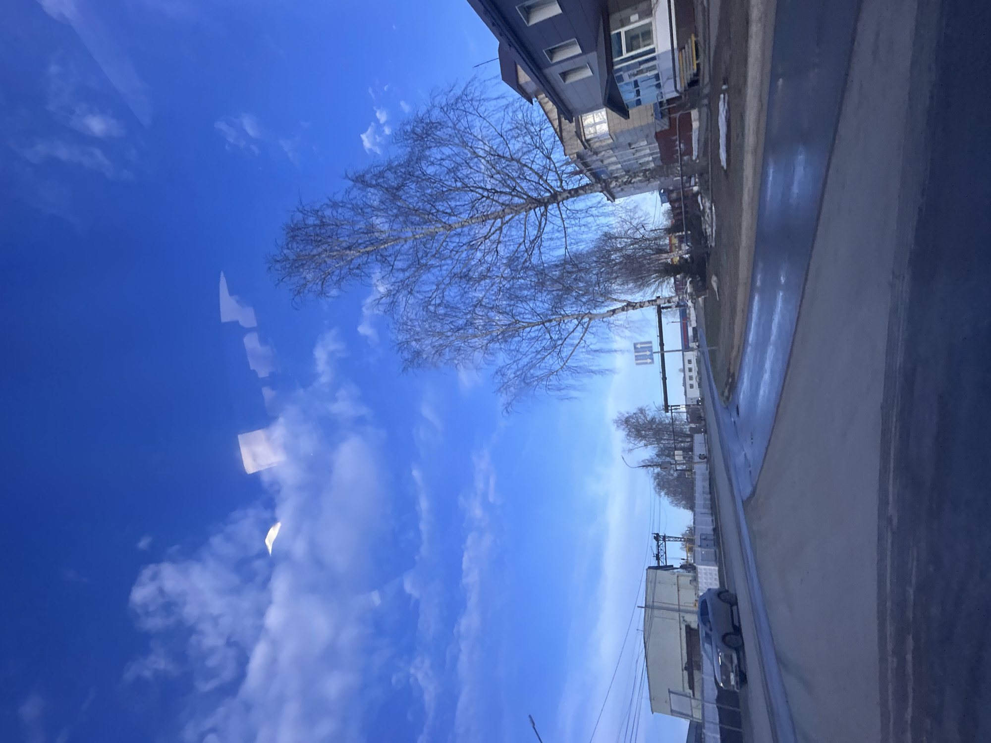 The image shows a street scene in Chaikovsky, Russia, with a clear blue sky and scattered clouds overhead. A row of bare trees lines the street, positioned between buildings and the road. A street with wet asphalt is visible. A gray car can be seen next to an unidentified building. The photograph appears to have been taken from a low angle and has a slight rotation.