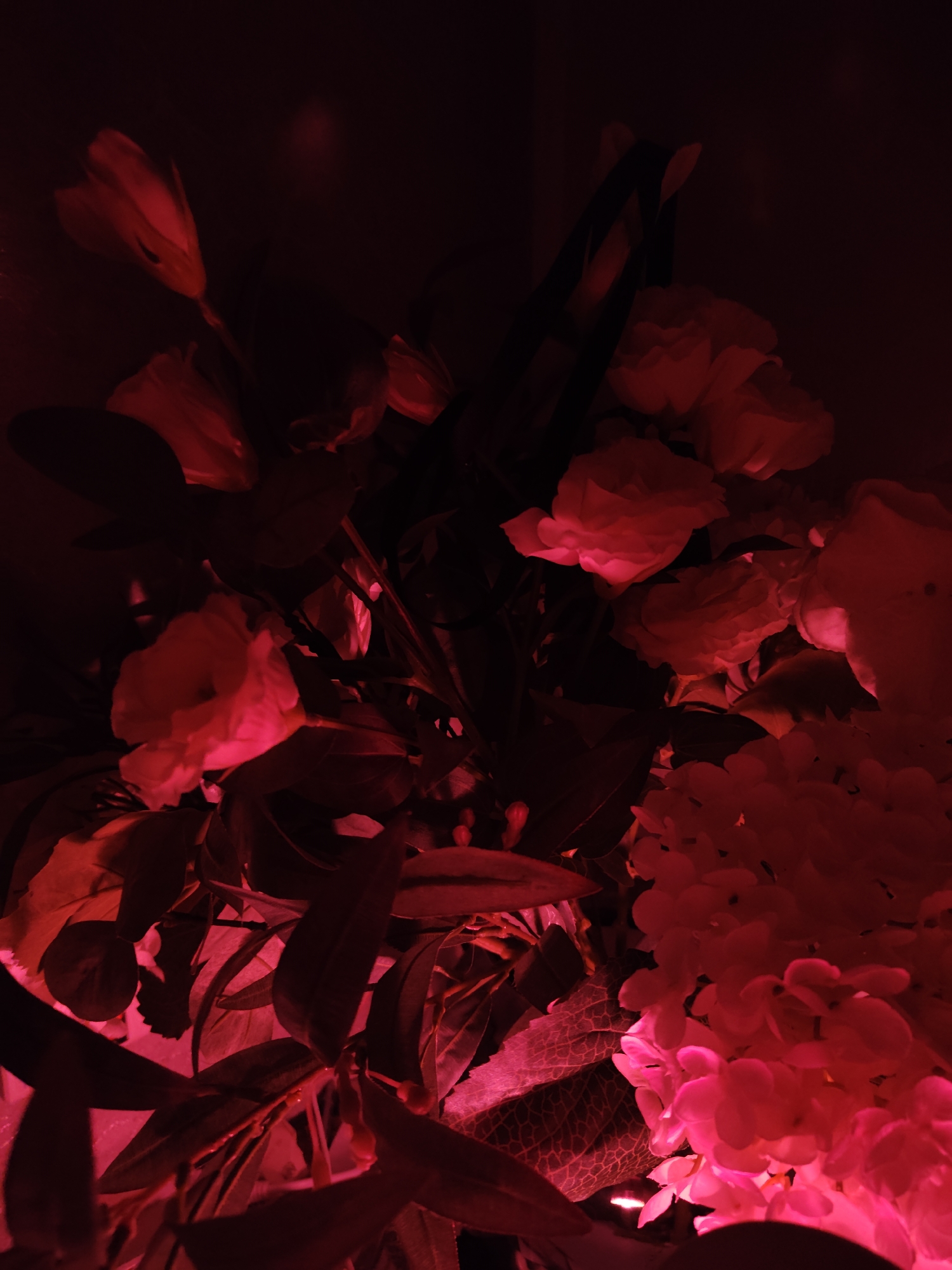 A dark image of a bouquet of flowers illuminated with a red light. The types of flowers are difficult to determine due to the low light and red hue but appear to include tulips, roses, and hydrangeas. There is also greenery mixed in with the flowers. The scene is not clearly identifiable as being located in Moscow, Russia.
