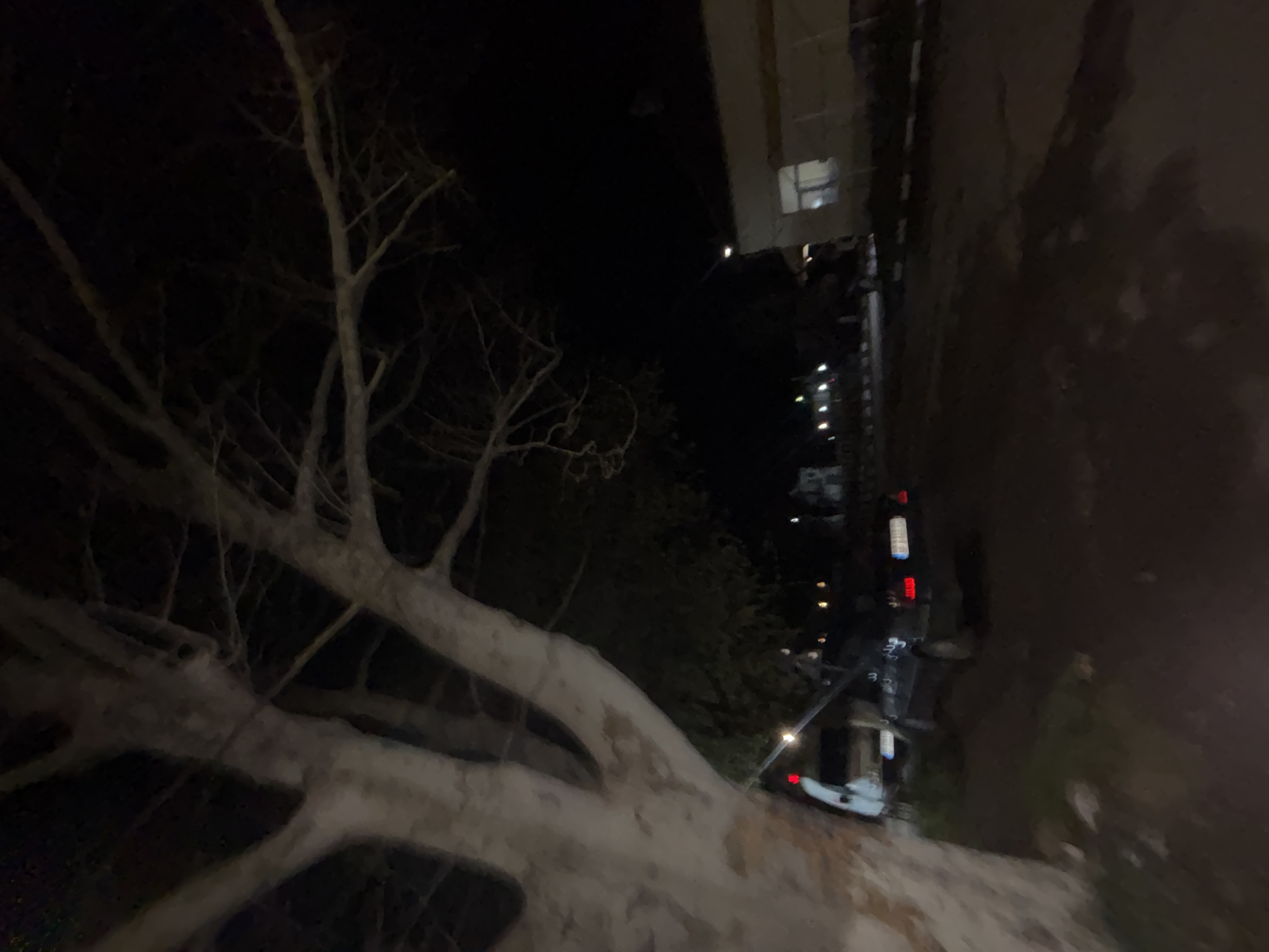 The image depicts a night scene in an urban environment, possibly the city of Lehchevo, Bulgaria. A large tree with bare branches dominates the left side of the frame. To the right, a building stands with illuminated windows. Further down the street, streetlights and tail lights of vehicles suggest a road with traffic. A wall borders the scene on the right. The environment appears dark with limited visibility.