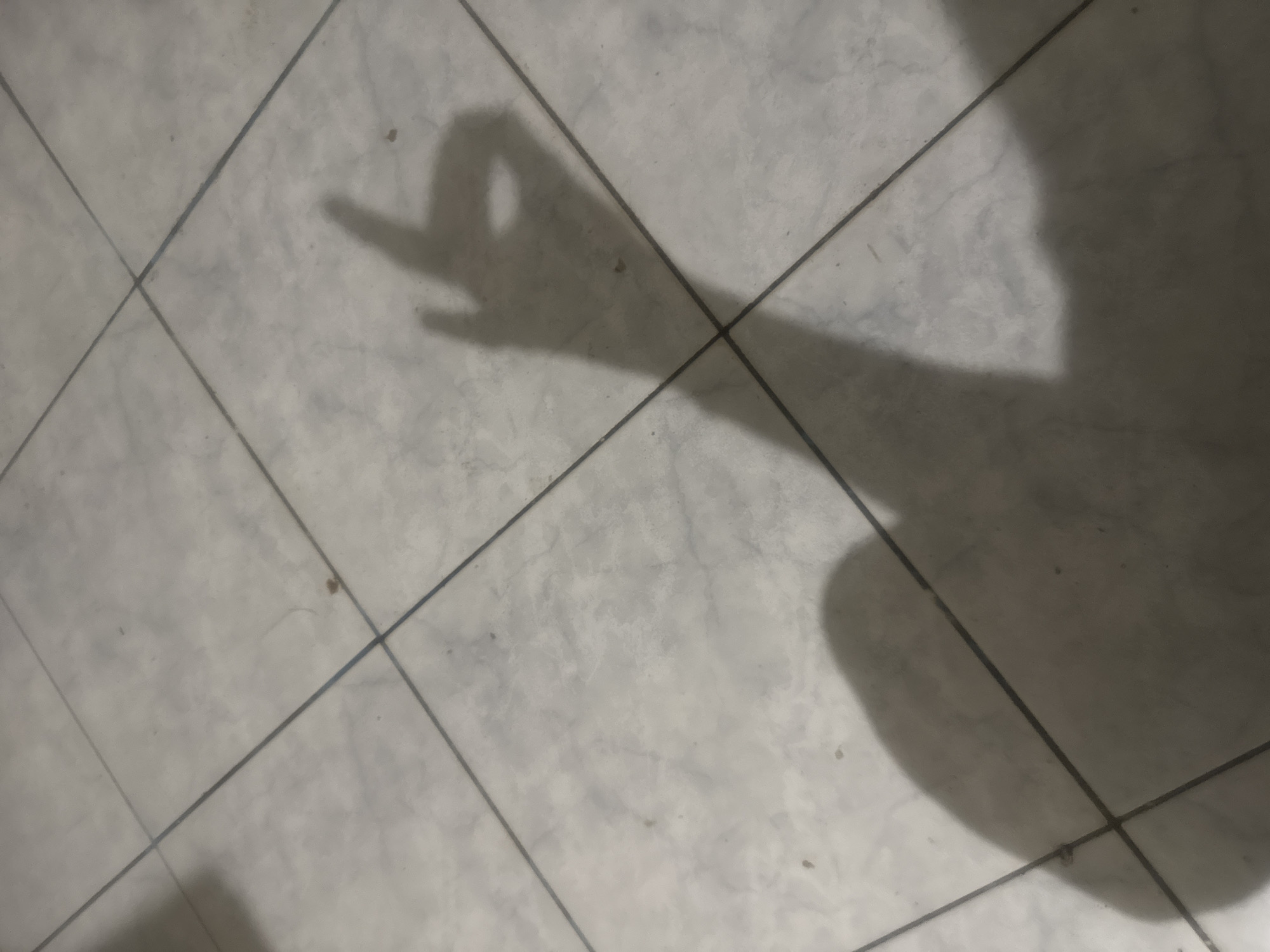 A shadow of a hand is cast on a tiled floor. The shadow depicts a hand with the index finger and thumb forming a circle, and the other fingers extended. The floor is made of square tiles with dark grout lines. There are some small dark specks on the tiles, likely dirt or debris. The lighting suggests an indoor environment. The image is from Zaokskiy, Russia.
