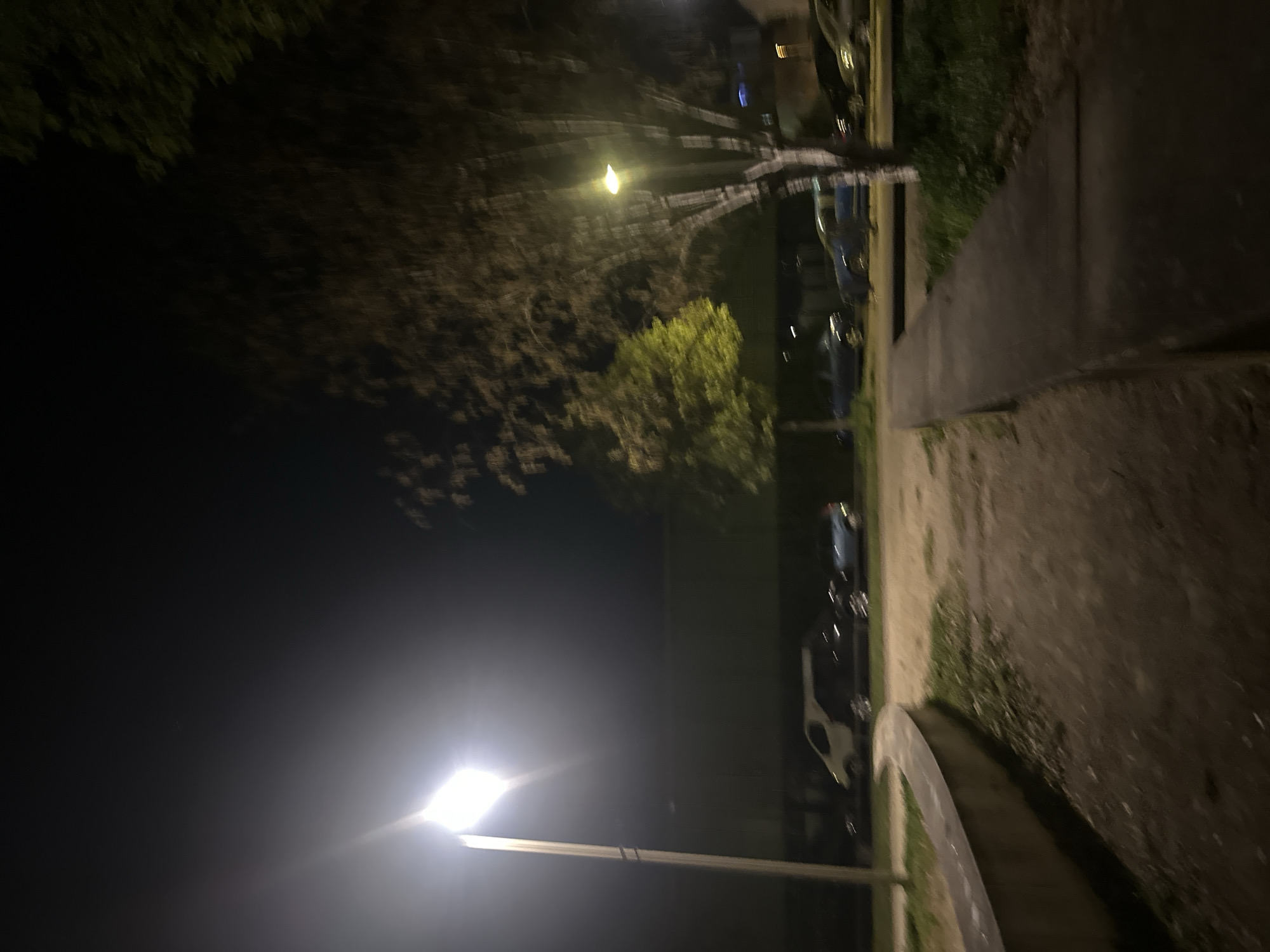 A nighttime scene in Strasbourg, France, shows a dimly lit street with a sidewalk on the right and parked cars on the left. A street lamp illuminates the foreground. Trees and other vegetation are visible, particularly on the left side.