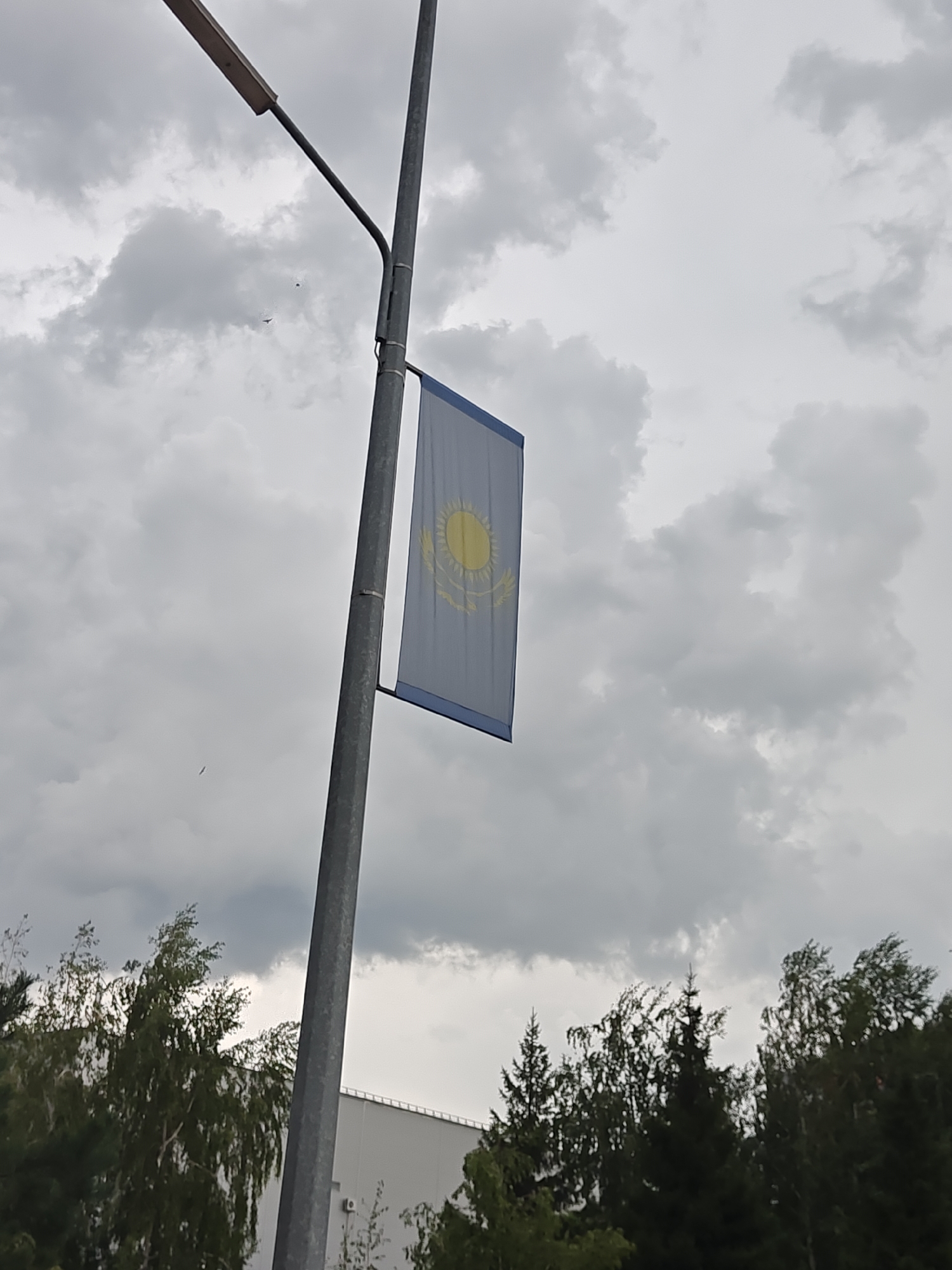The image shows a vertical flag of Kazakhstan hanging from a lamppost against a cloudy sky. The flag is blue with a yellow sun and an eagle in the center. The lamppost is metallic and octagonal in shape. In the background, there are trees and a white building. There are two small dark objects visible in the sky that could be birds. The image appears to be taken from a low angle, looking up towards the sky. The overall scene suggests an outdoor environment in a city, possibly Petropavl, Kazakhstan, given the national flag. The weather appears overcast.