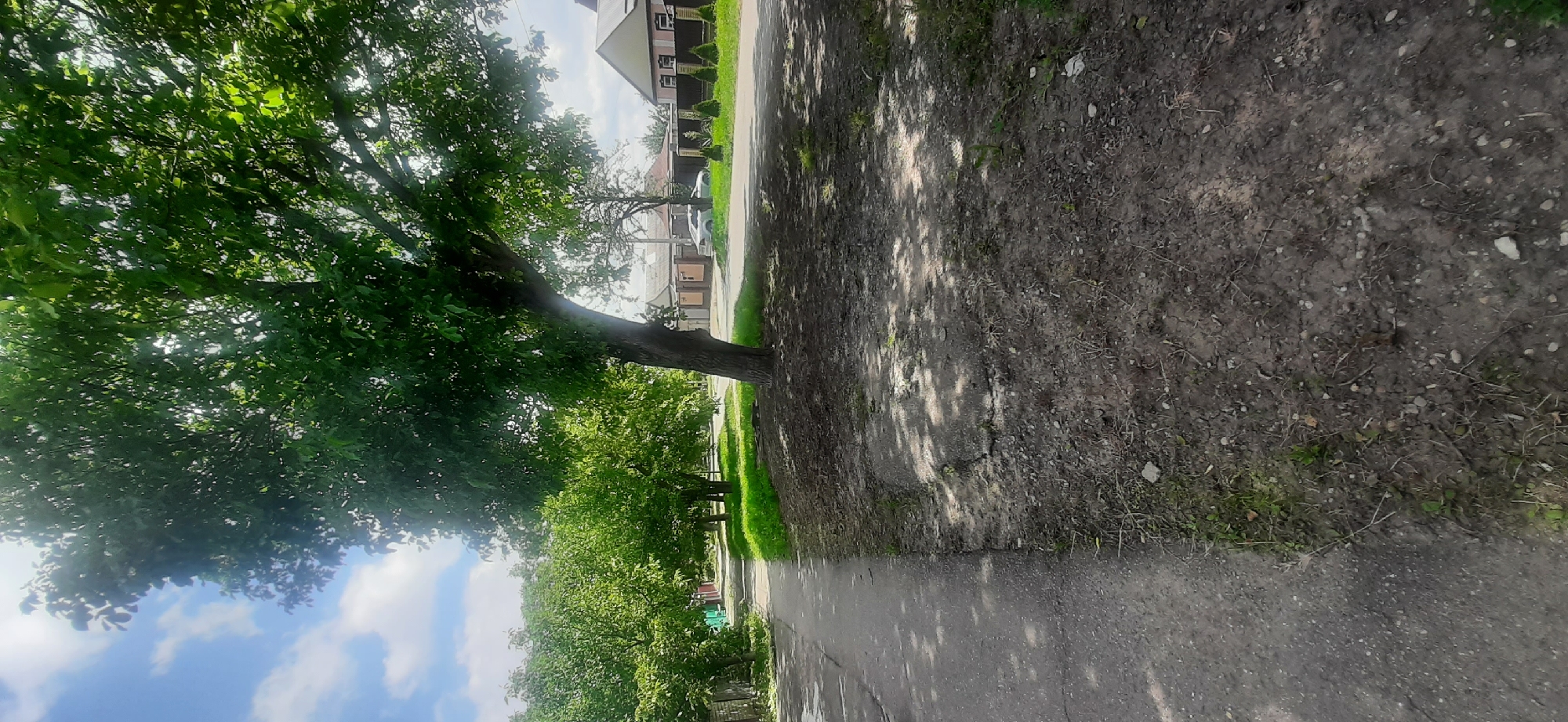 This media file depicts a tranquil outdoor scene, likely in Yessentukskaya, Russia, on a bright, sunny day. The image is oriented vertically, presenting a view of a tree-lined path or road running through a residential area.
The dominant subject is a large, mature tree with lush green foliage, its branches extending generously to the left side of the frame. Sunlight filters through the leaves, casting dappled shadows onto the ground and a paved path. The path runs parallel to the tree, bordered by dry, earthy ground with scattered stones and sparse vegetation.
Beyond the immediate foreground, the scene opens up to reveal houses with light-colored facades, possibly two or three stories tall, with visible windows and dark rooflines. Fencing and manicured hedges suggest well-maintained properties. Green grass is visible along the edges of the path and between the houses, indicating a well-kept environment. In the distance, more trees can be seen, contributing to a sense of a verdant neighborhood.
The sky is a vibrant blue, punctuated by fluffy white clouds, characteristic of fair weather. The lighting suggests it is daytime, likely late morning or early afternoon, given the angle of the shadows and the brightness of the sky. There are no people or obvious human activities depicted, lending the scene a peaceful and serene atmosphere. The presence of houses, a paved path, and fences firmly places the setting in a suburban or rural residential area. There is no visible text in the image.