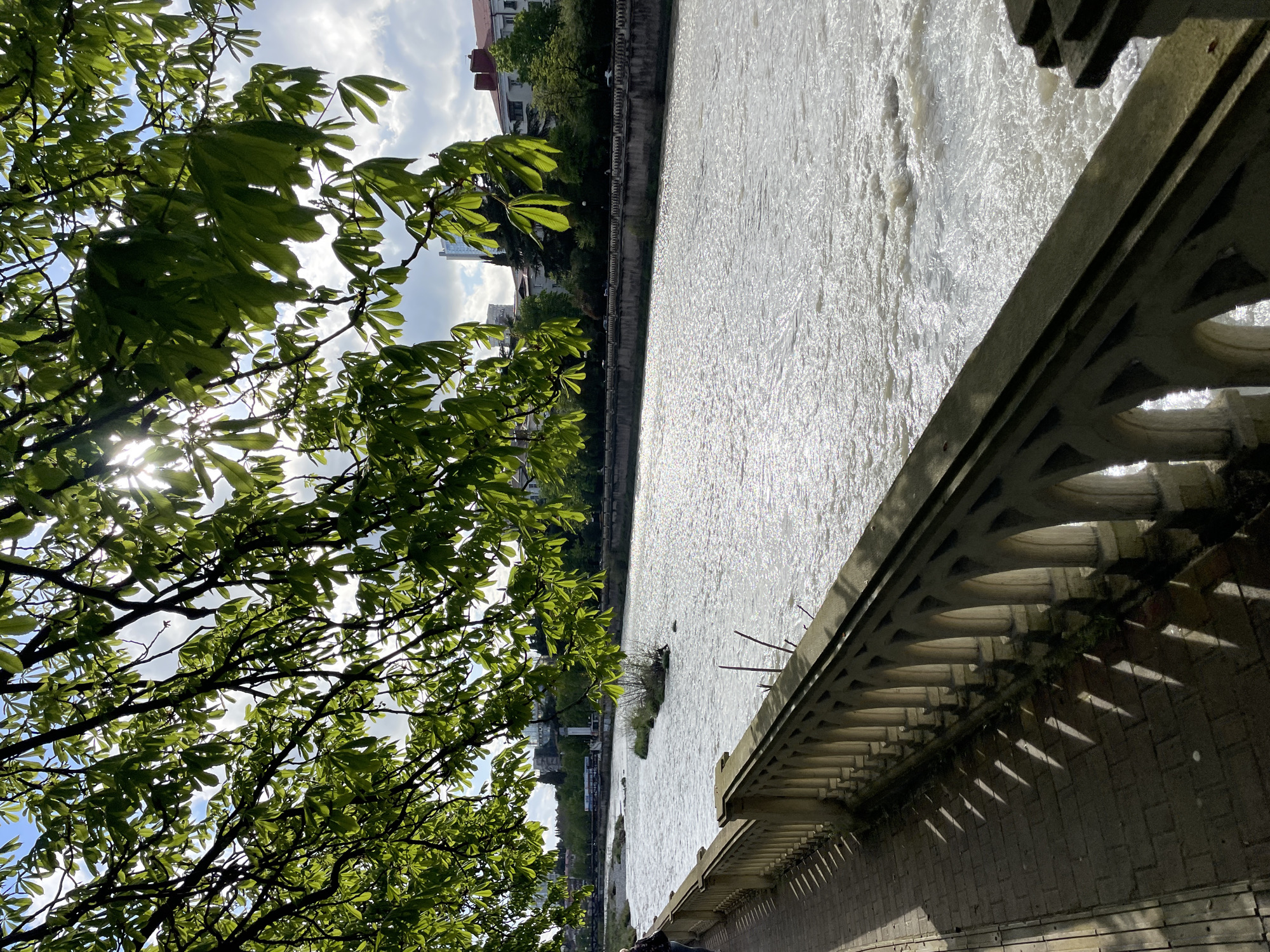 The image shows a river flowing through a city, likely in Sochi, Russia, based on the architecture and vegetation. The perspective is from a bridge or elevated walkway with an ornate stone railing.
On the left side, tree branches with bright green leaves partially obscure the view, with sunlight filtering through. The river occupies the center of the frame, its surface reflecting light, giving it a shimmering appearance. Along the riverbank, there is a concrete embankment, and beyond that, buildings and trees can be seen. On the right, the bridge's stone railing is visible, casting shadows on the brick structure below. The river seems somewhat turbulent, suggesting a decent current.