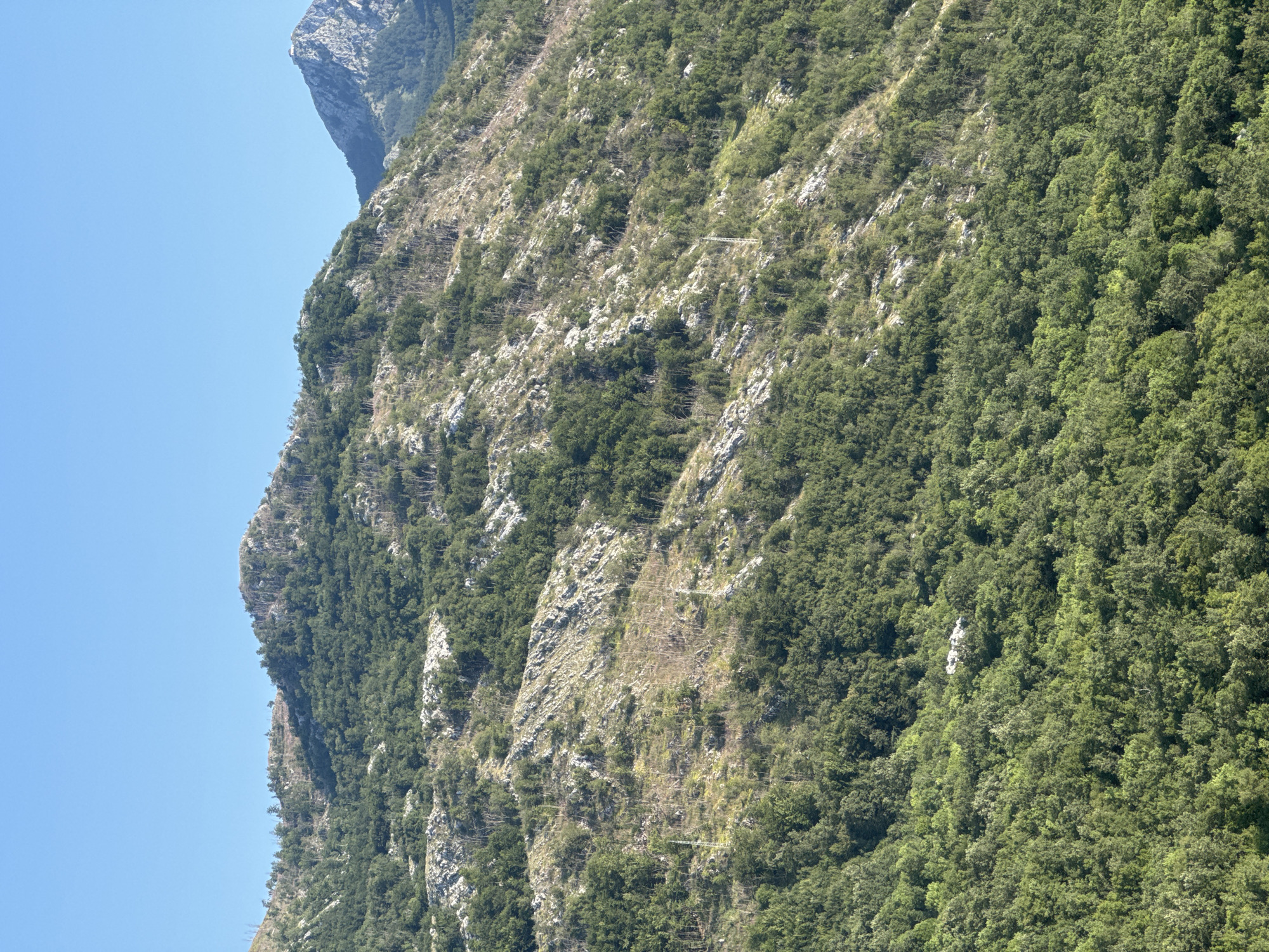 The image shows a view of a mountainous landscape covered in dense green trees, with rocky outcrops and some sparser vegetation higher up. The sky is clear and blue. In the distance, a more rugged, rocky peak is visible. The scene appears to be a natural environment, likely in a rural or mountainous area. There are no people or specific structures immediately identifiable in the image that would pinpoint a specific urban location. The overall impression is one of a vast, natural landscape.