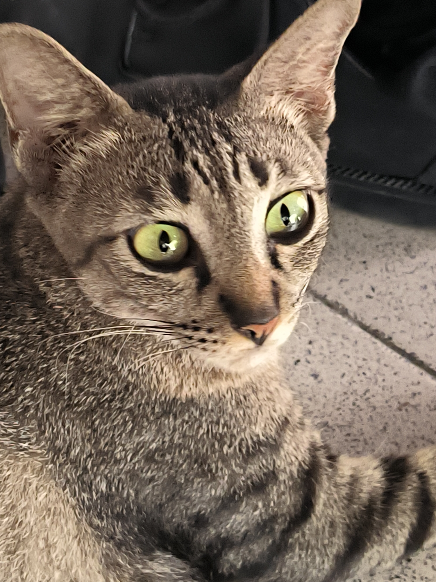 A close-up of a gray tabby cat with striking green eyes, lying on a gray tiled surface. The cat's face is angled slightly to the right, with its ears perked up. The background is a blur, but appears to be a dark object or surface. The image was taken indoors, possibly a home, and details such as the tiled surface indicate a residence rather than a natural environment. No people are visible in the image. The cat appears alert and is the primary subject of the photograph. There is no evidence to directly link the location to Lhokseumawe, Indonesia.