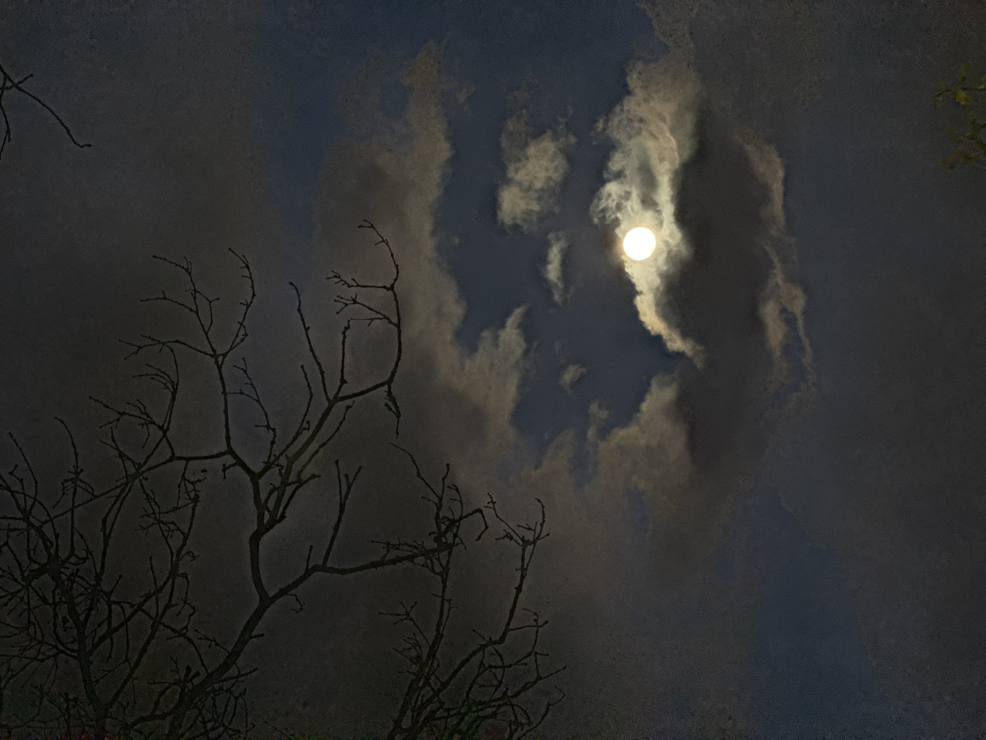 The image depicts a night scene with a full moon partially obscured by clouds. The moon is a bright, circular object surrounded by lighter, translucent clouds. Darker, heavier clouds fill the background and create a dramatic contrast. In the foreground, silhouetted against the night sky, are the bare branches of a tree. The composition gives a slightly eerie or gothic feel. No people or actions are visible. Without further context, the specific location in London cannot be determined.