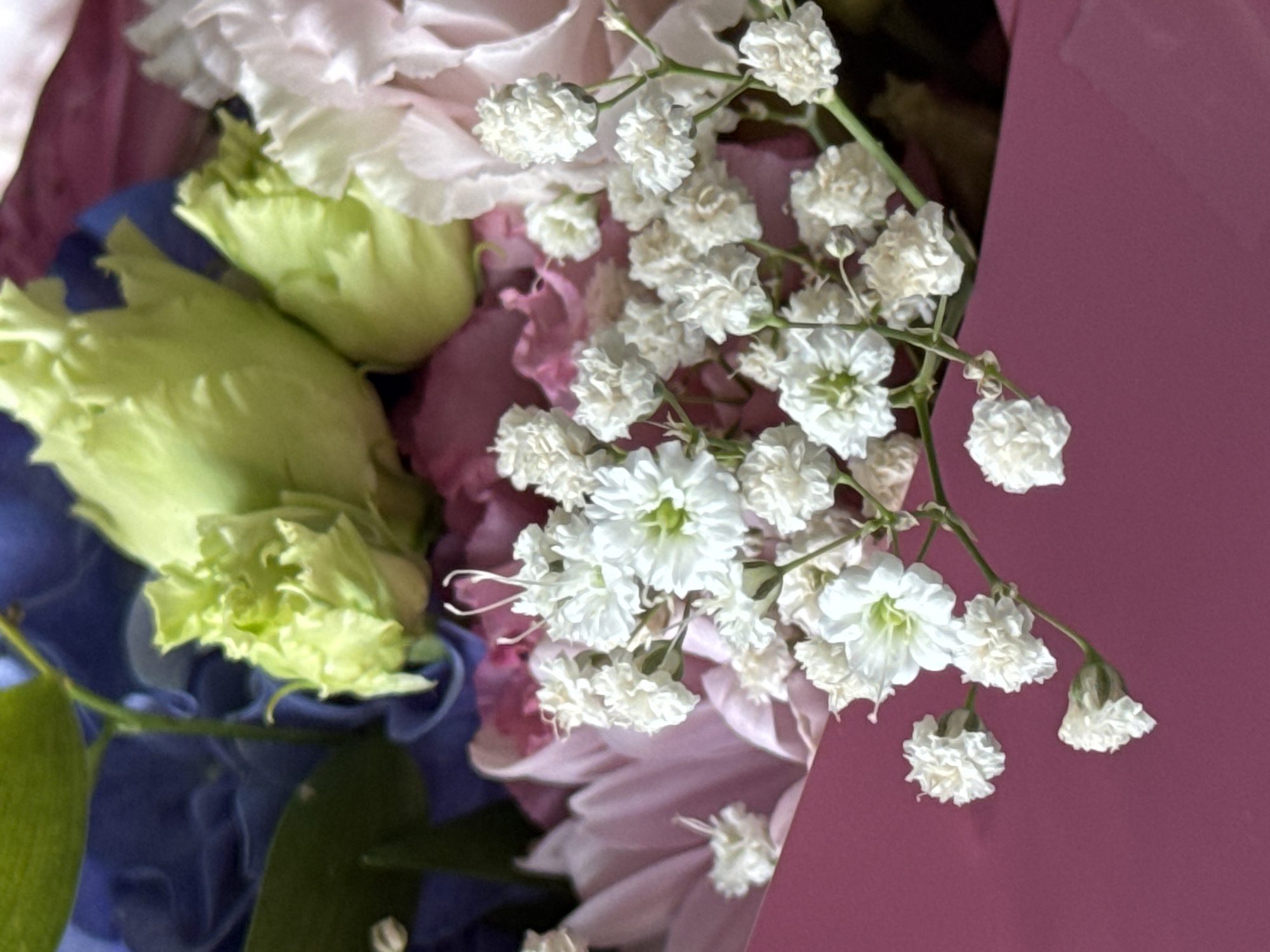 The image displays a close-up view of a bouquet of flowers, predominantly featuring small white blossoms, possibly baby's breath, interspersed with larger pink and light green flowers. The flowers are arranged in a pink bouquet holder. The background consists of blurred floral elements in shades of blue and dark pink. No specific location in Bratislava, Slovakia, is identifiable from the image. The scene is static and focuses solely on the floral arrangement.
