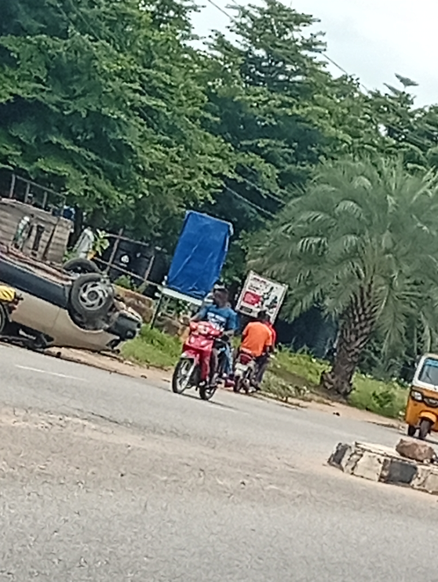 In Adankolo, Nigeria, on an overcast day, a scene unfolds beside a road. To the left, a silver pickup truck lies on its side, its wheels pointing upwards, indicating a possible accident. The truck appears to be on the shoulder of the road. In the middle of the image, two motorcycles are in motion. The first, a red motorcycle, is ridden by a man in a blue shirt, heading away from the viewer. Behind him, on a second motorcycle, is a person wearing an orange shirt, also moving away. A large palm tree with a textured trunk stands prominently to the right of the motorcycles, with lush green trees forming a dense backdrop behind the scene. Further to the right, a yellow auto-rickshaw is visible, parked or moving slowly. The road surface is asphalt, with a curb to the right. A blue tarp is draped over an unseen object behind the overturned truck.