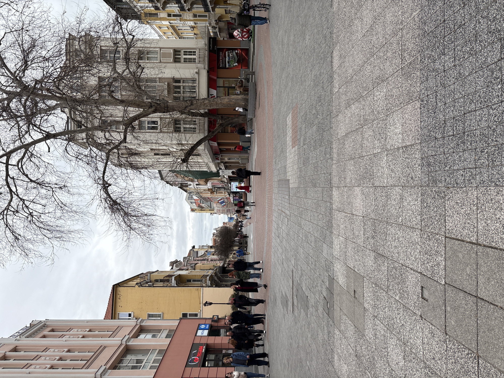 The image shows a pedestrian street in Plovdiv, Bulgaria. The street is paved with gray stone tiles, with occasional red-tiled sections in the center. Buildings line both sides of the street, varying in height and architectural style. Many have shops or businesses on the ground floor. A bare tree extends its branches over the street. People are walking along the pedestrian area, some in groups, others alone. The sky is overcast. A sign in Bulgarian is visible.