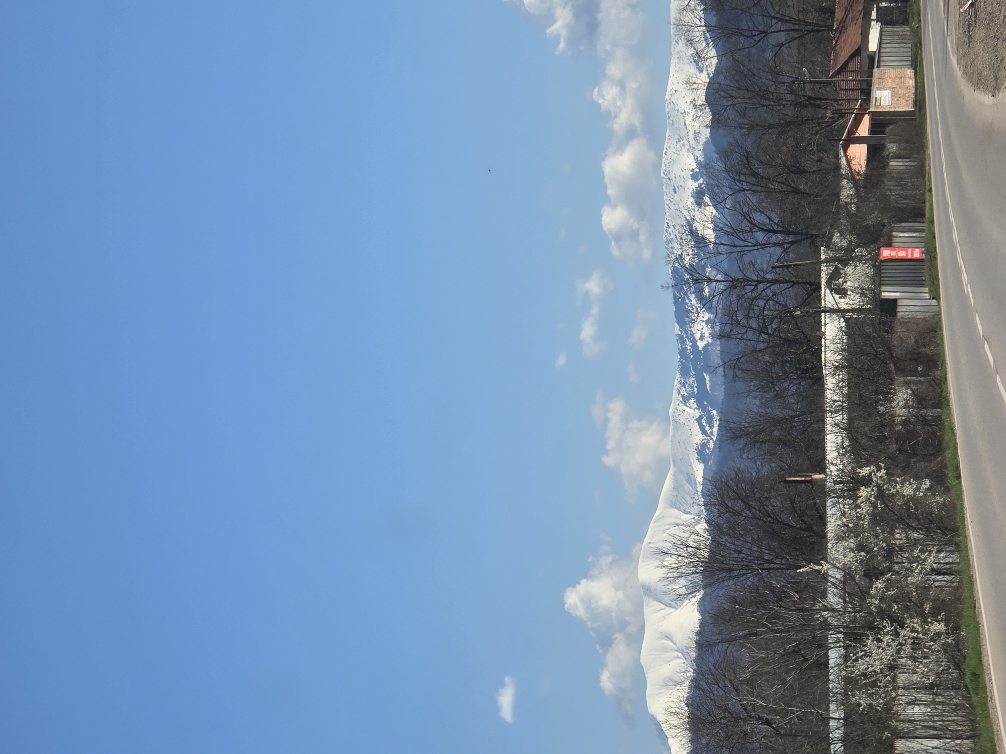 The image captures a scene in Dobrodan, Bulgaria. A two-lane asphalt road runs vertically along the right side of the frame. Adjacent to the road, a mixed landscape of bare trees, blossoming trees, and shrubbery fills the midground. Behind this, the snowy peaks of mountains rise, partially obscured by clouds. To the right of the mountains, glimpses of houses with red-tiled roofs can be seen. The sky occupies the left portion of the image, predominantly clear blue with a few scattered clouds.