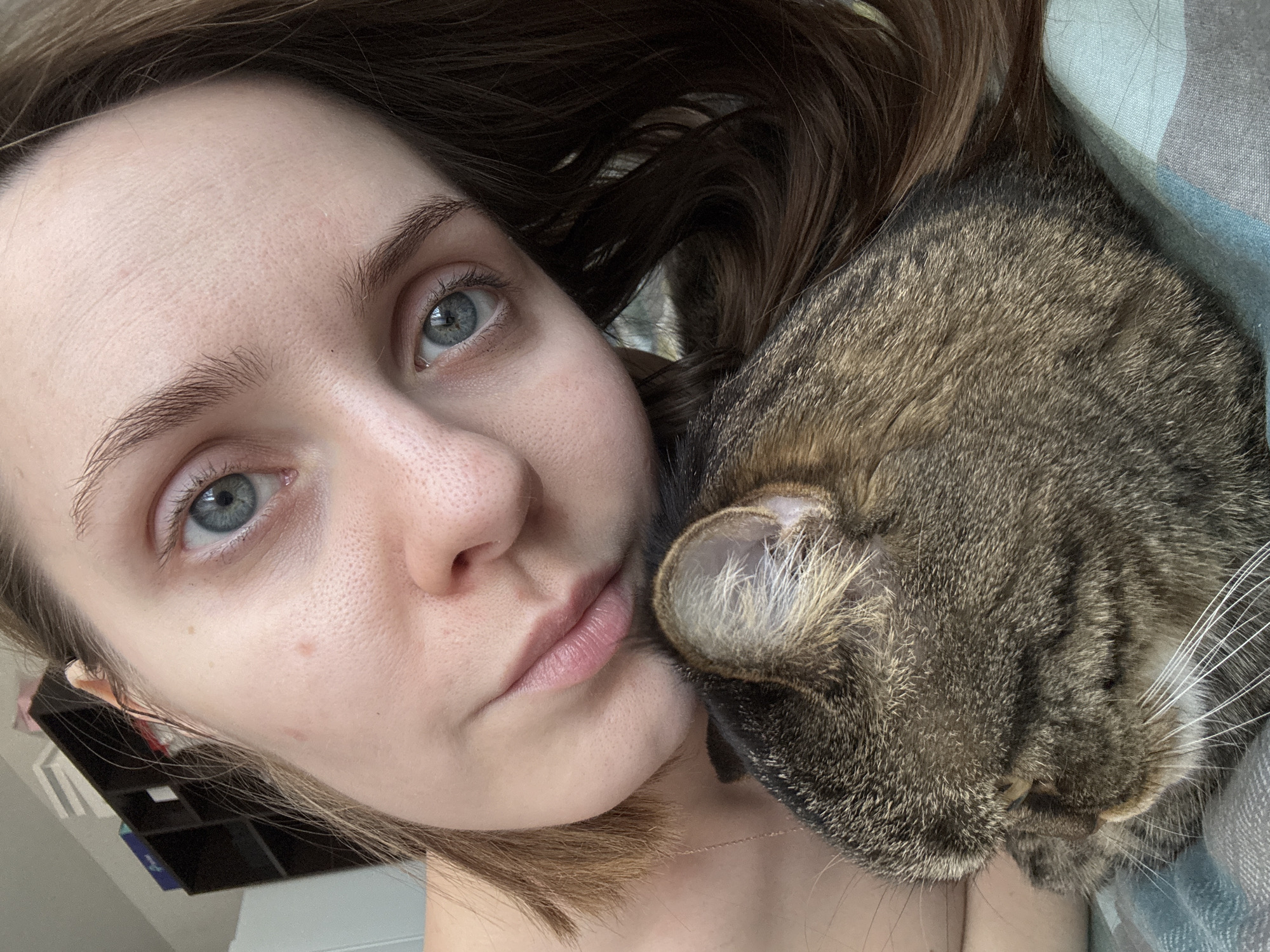 A close-up image depicts a female individual and a domestic tabby cat in an indoor setting. The human subject, with light skin, blue eyes, and medium brown hair, occupies the upper half of the frame, positioned to the right. Her left eye is fully visible, while her nose and mouth are partially shown, resting against the cat. A thin, gold-colored necklace chain is visible on her left side. The cat, displaying a brown, grey, and black tabby coat pattern with visible white whiskers, occupies the lower portion of the frame, its head turned away from the camera. The subjects appear to be in close proximity, suggesting interaction. The background, largely out of focus, reveals a dark brown shelving unit with various items, possibly books or boxes, in the upper left, and a patterned fabric, predominantly blue and grey, beneath the cat. The specific location within Perm, Russia, cannot be determined from the visual information provided in the image.