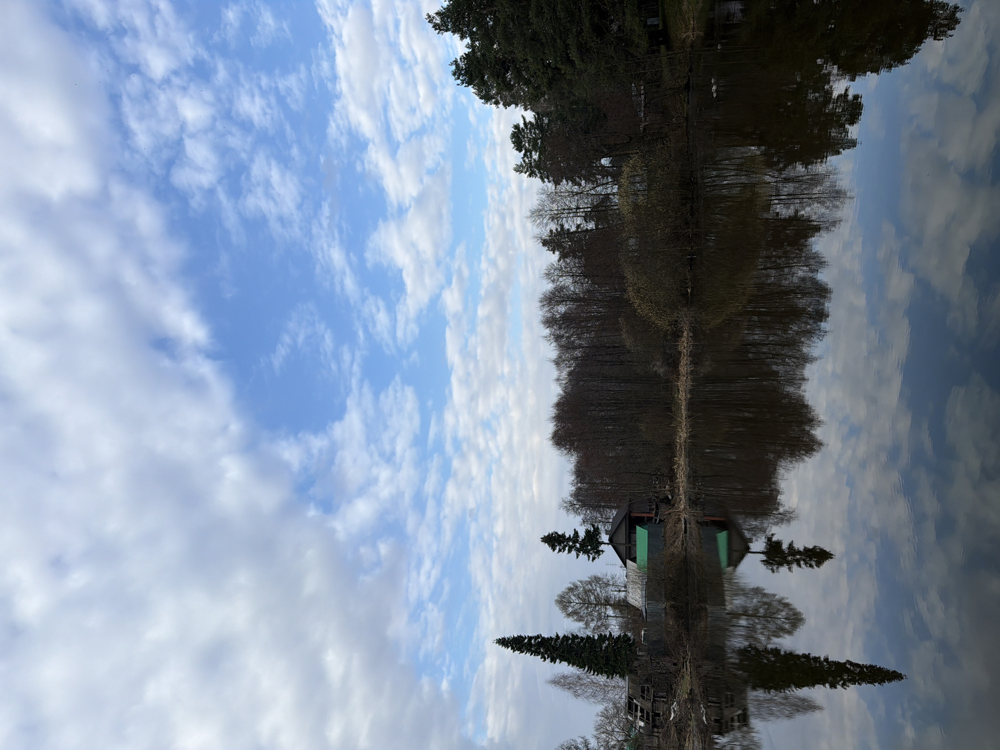 The image depicts a landscape scene, likely a body of water, with a reflection effect creating a mirrored view. Above the water, there's a row of trees, transitioning from dense foliage to a more bare, wintry look. A structure, possibly a small building or house, is visible on the shore. The sky is filled with a mix of blue and white clouds. The location is likely the city of Chaikovsky, Russia. There are no people visible in the image. The scene is static and peaceful.