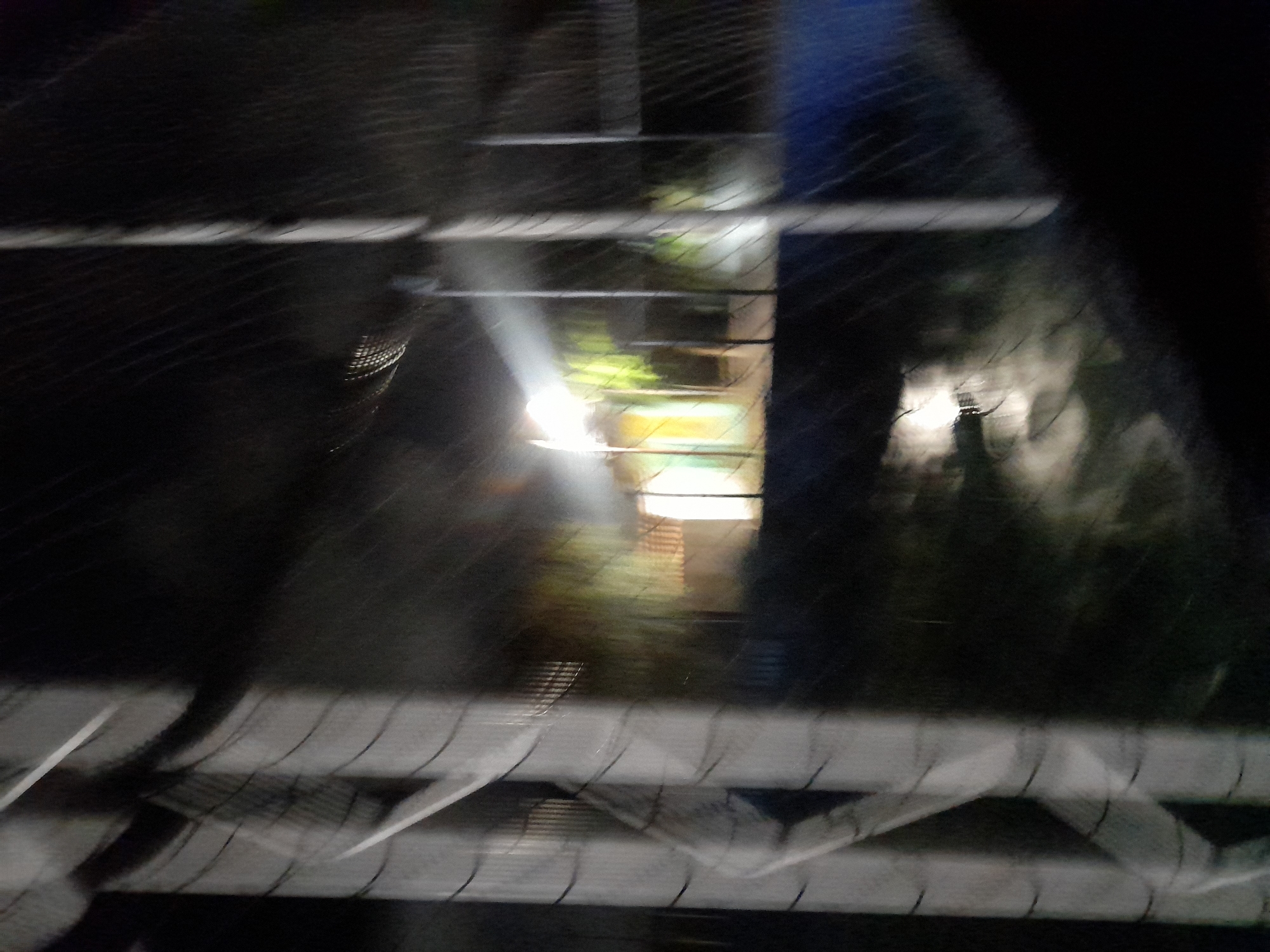 The image depicts an outdoor scene at night, possibly within the city of Santa Ana, Venezuela, characterized by a fence or net in the foreground. Beyond the fence, a brightly lit structure is visible, suggesting it could be a building or an illuminated area. The lighting creates a blurred, atmospheric effect across the entire image. The presence of a fence or net, combined with the lighting, might indicate a sports facility, a construction site, or an area secured with netting. The darkness of the night sky and the reflective quality of the wet ground contribute to the overall mood of the scene.