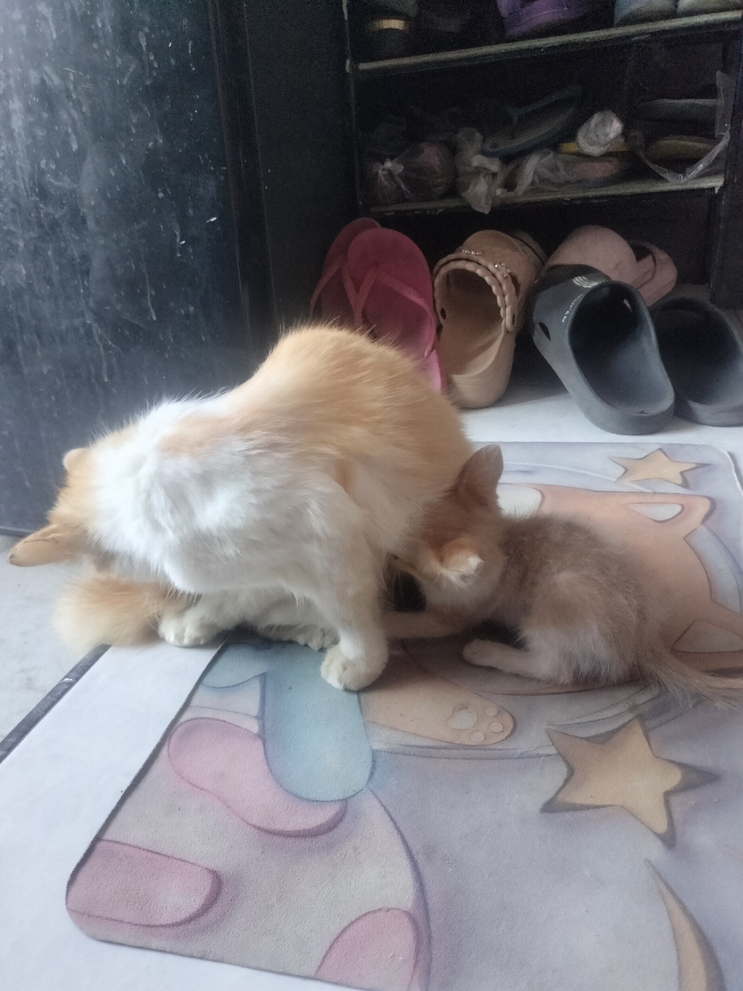 Memory