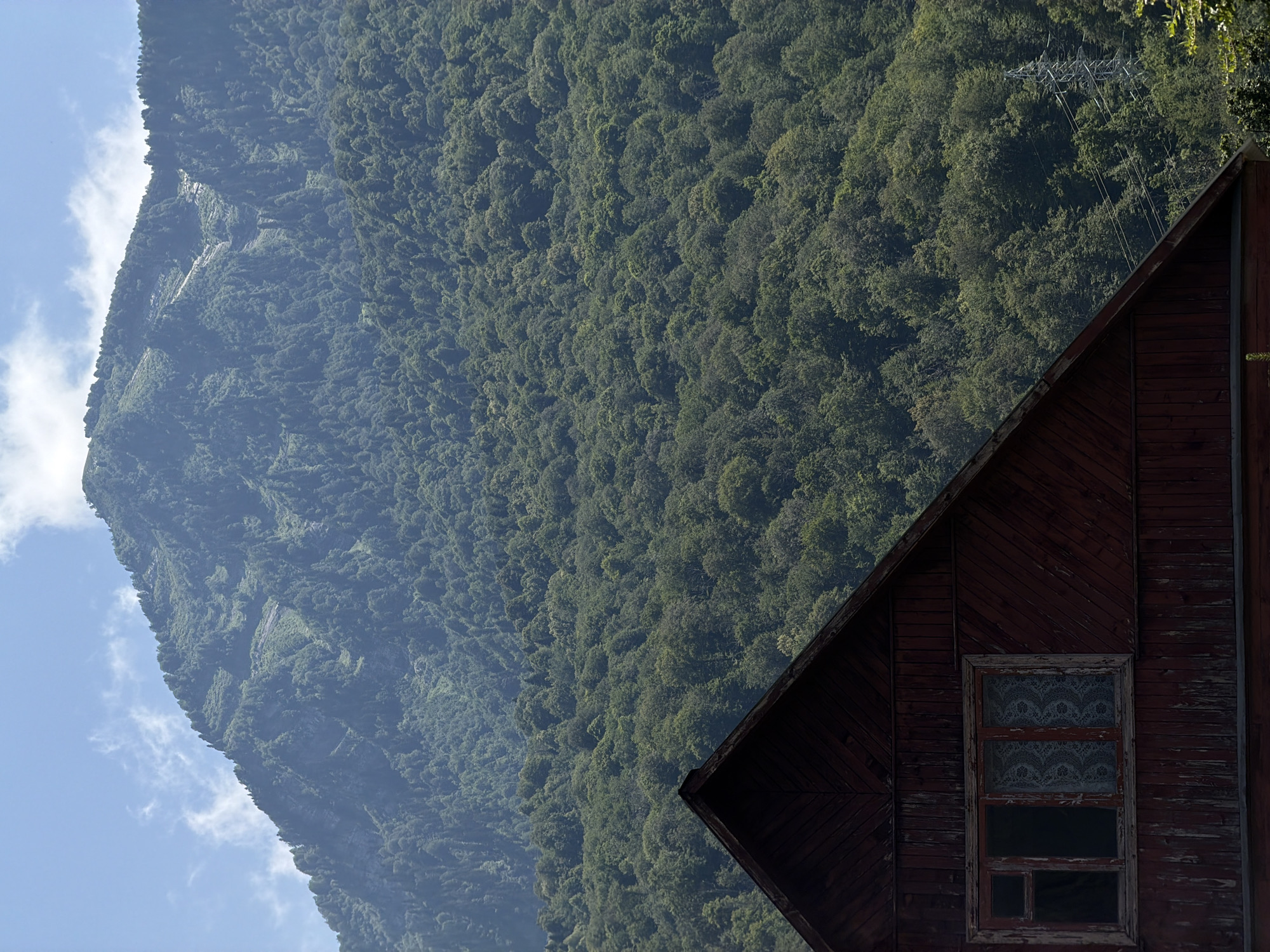 The image shows a close-up of the weathered, dark red wooden roof and window of a house in the foreground. The roof slopes downwards from the left edge towards the right. The window has multiple panes and is partially covered by a lacy curtain. In the background, a vast, densely forested mountain rises steeply under a bright blue sky with scattered white clouds. The forest covers the mountain from its base to its peak, with some lighter patches suggesting rocky outcrops or clearings. A power line tower and cables are visible amidst the trees on the right side of the mountain. The scene appears to be a rural or mountainous area, likely in or near Krasnaya Polyana, Russia, given the context provided, characterized by its natural landscape and the presence of human structures integrated into it.