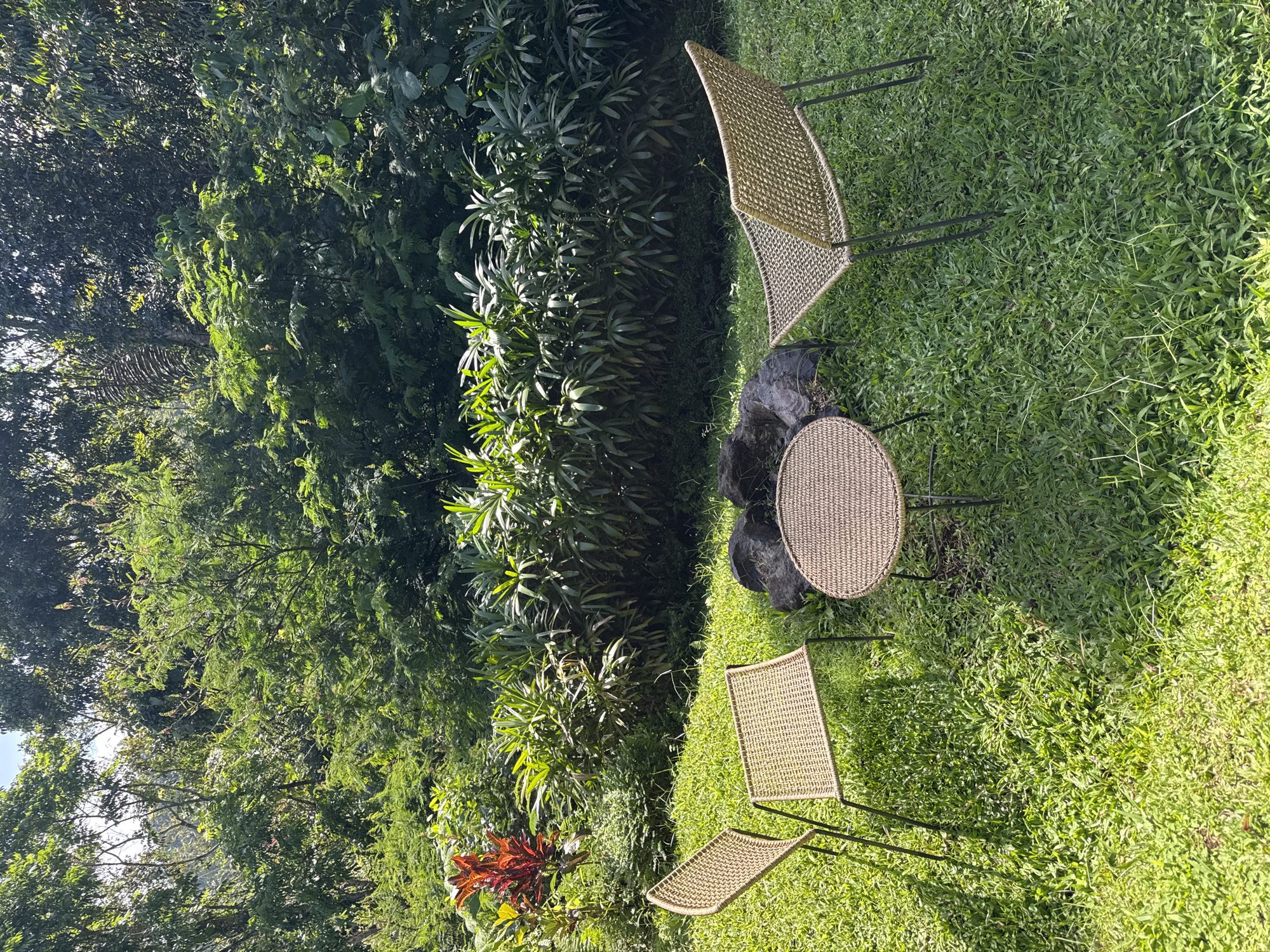 An outdoor seating area is set up on a grassy lawn in a lush, green environment, likely within a resort or private property in Selat, Indonesia. The area features a circular fire pit made of dark, rough stones. Surrounding the fire pit are three woven chairs with metal frames and a small, round woven table. Behind the seating area, a dense line of dark green, tropical foliage forms a natural backdrop. Further back, taller trees with a mix of light and dark green leaves create a dense canopy, suggesting a tropical or subtropical climate. The lighting indicates it is daytime, with sunlight casting shadows on the grass. The scene is peaceful and appears to be an unoccupied relaxation spot.