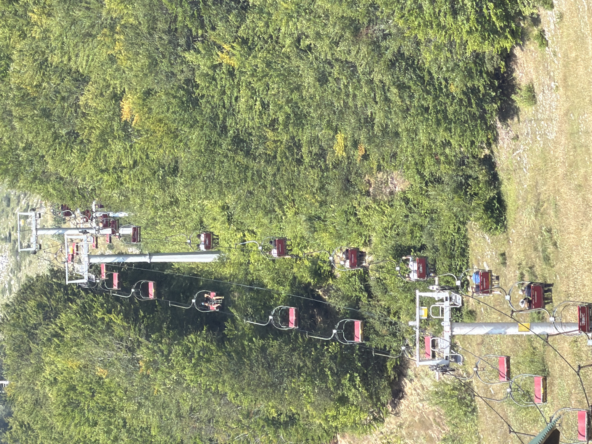 The image shows a ski lift with several chairs ascending a forested mountain slope. The ski lift has a central support tower from which cables extend upwards and downwards, with chairs attached. Some chairs are empty, while others contain passengers. The surrounding environment is densely forested with lush green trees, and the ground below is covered in dry grass and some scattered rocks. The overall impression is a scenic view of a ski resort during warmer months.